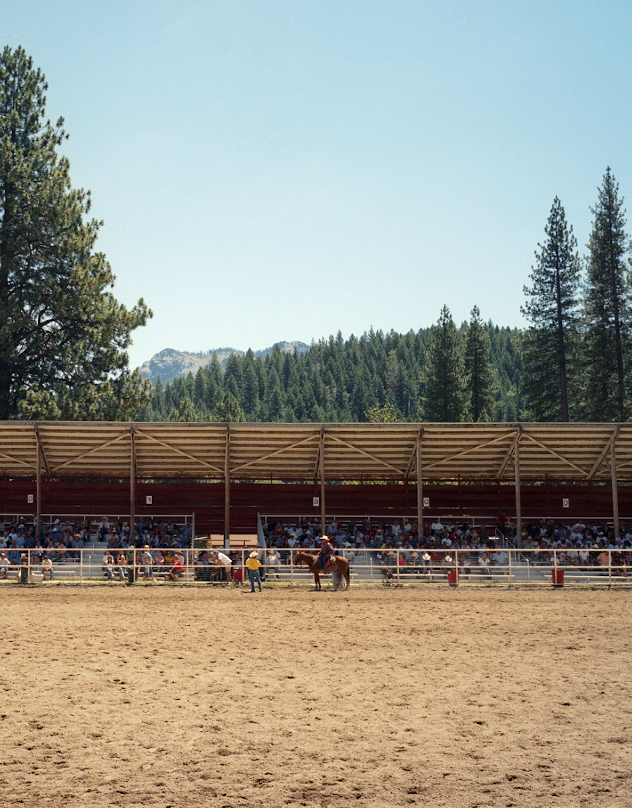 Inside a rodeo arena in the Sierra mountains of Northern California with a horse and rider.