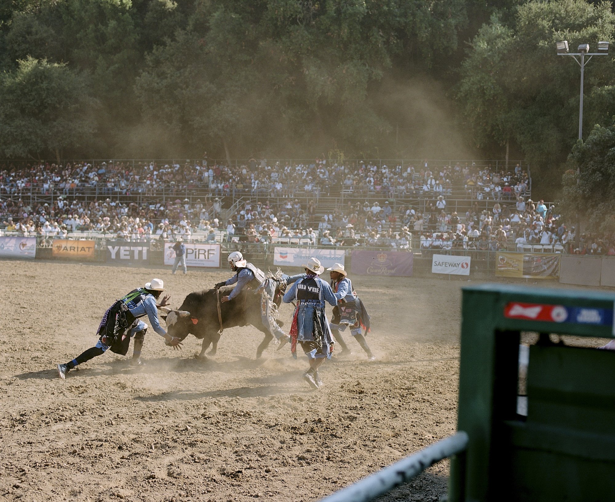 Cowboys in traditional attire participating in a rodeo event, attempting to subdue a bucking bull on a dirt arena with a large crowd watching from bleachers in the background.
