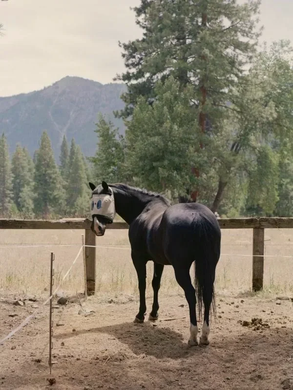 Behind the scenes at the Silver Buckle Rodeo in Indian Valley, California by western photographer Gabriela Hasbun.