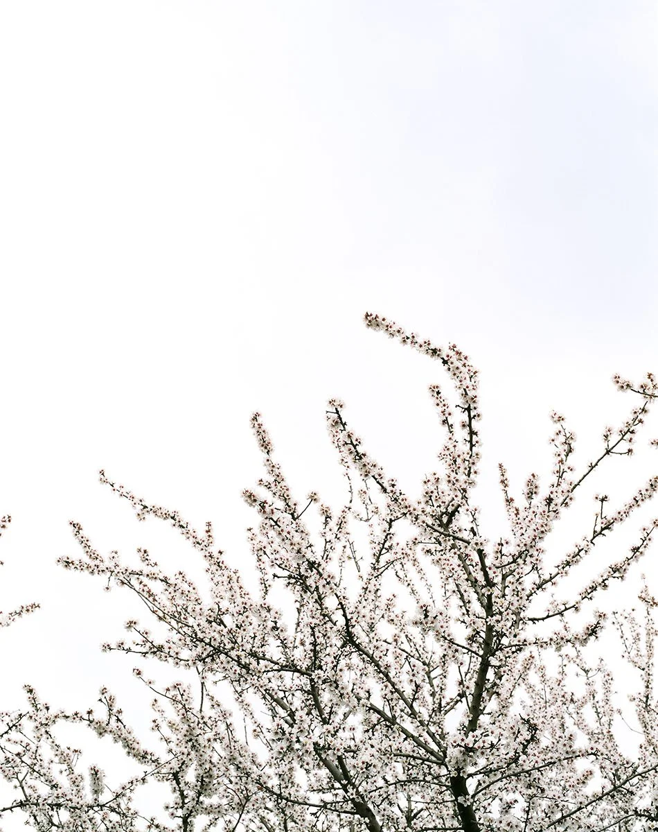 Greenville in winter by lifestyle and western photographer Gabriela Hasbun.