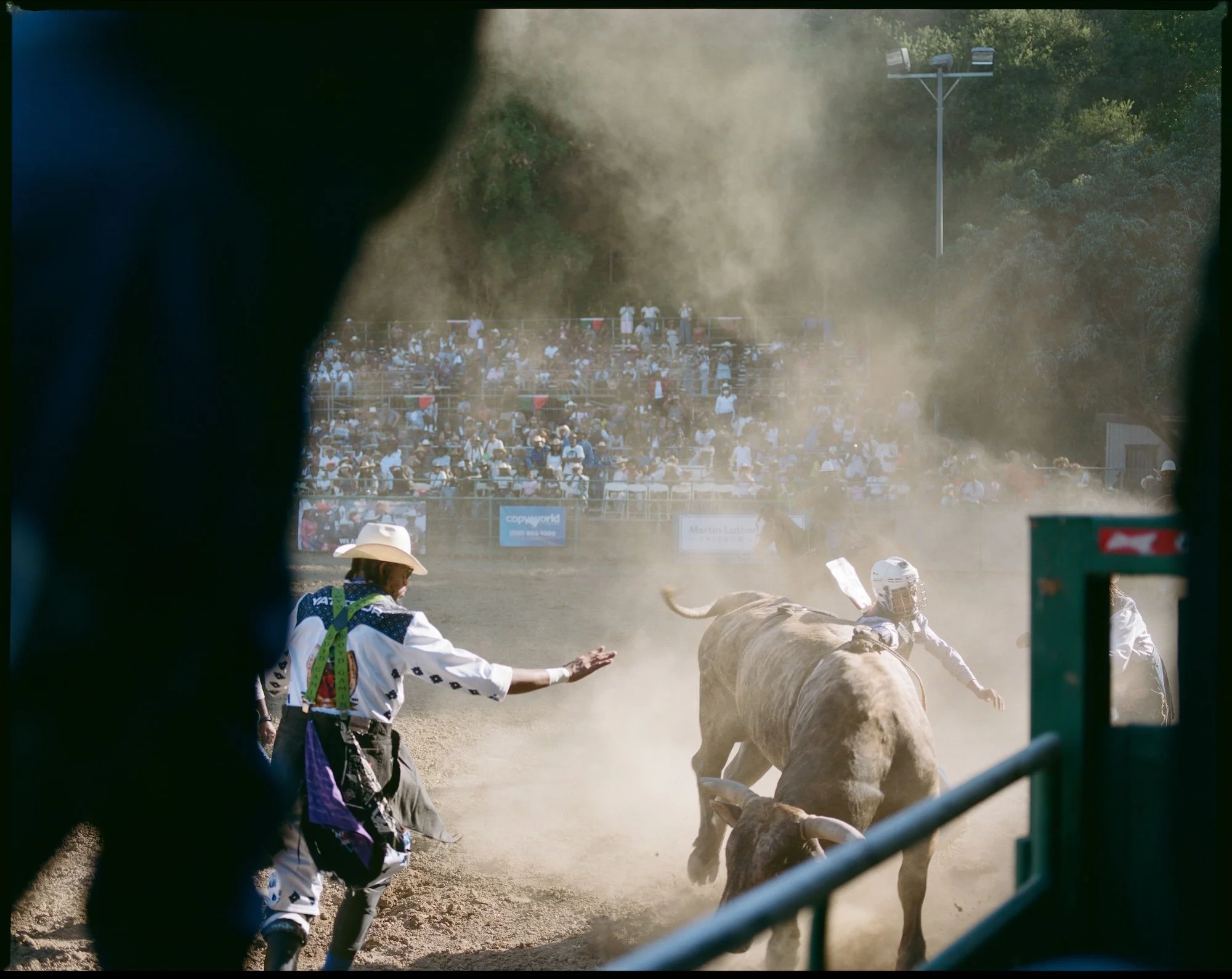A rodeo event with a steer and a rider, a person dressed as a clown or rodeo clown reaching out a hand, dust in the air, and a large audience in the background.