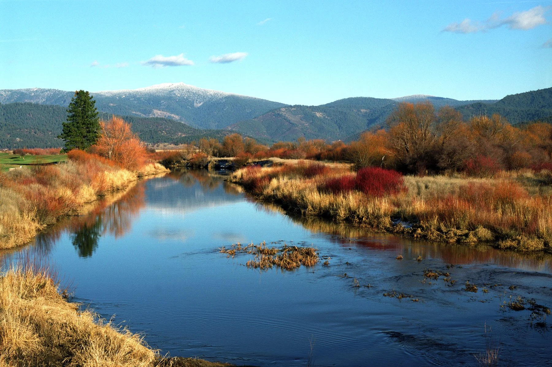 Feather River in Indian Valley by lifestyle photographer Gabriela Hasbun.