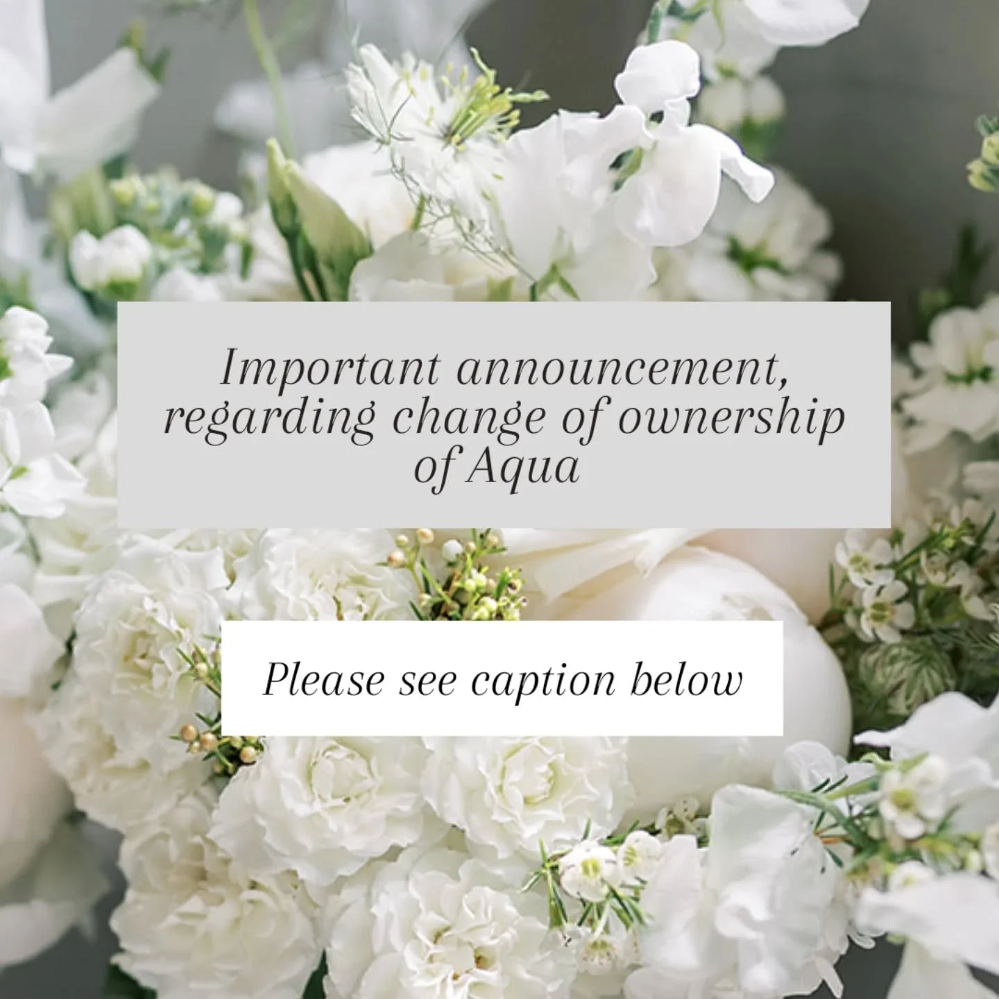 After much thought and consideration, I've decided to step back from the business and will be transitioning ownership over to Maisie Cox.

Maisie has been by my side for the last 10 years. She knows the business inside out, is a truly exceptional flo