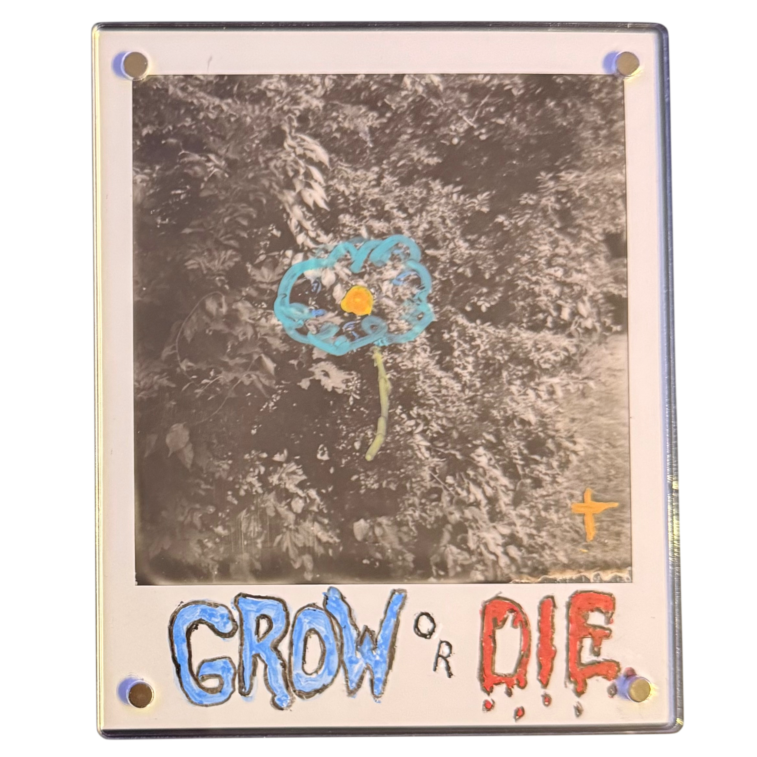 "GROW OR DIE" Polaroid Affirmations series.1 no.four