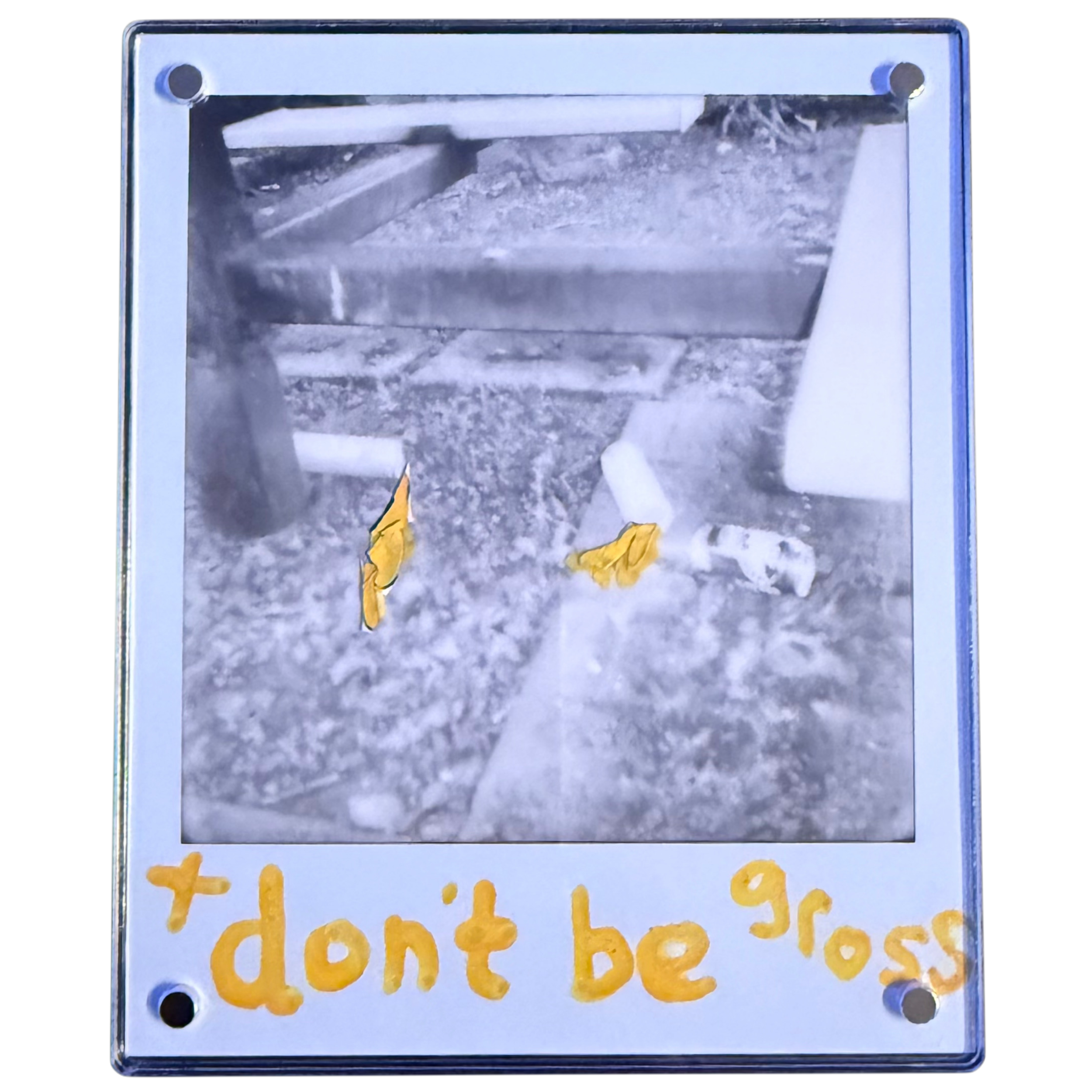 "DON'T BE GROSS" Polaroid Affirmations series.1 no.five