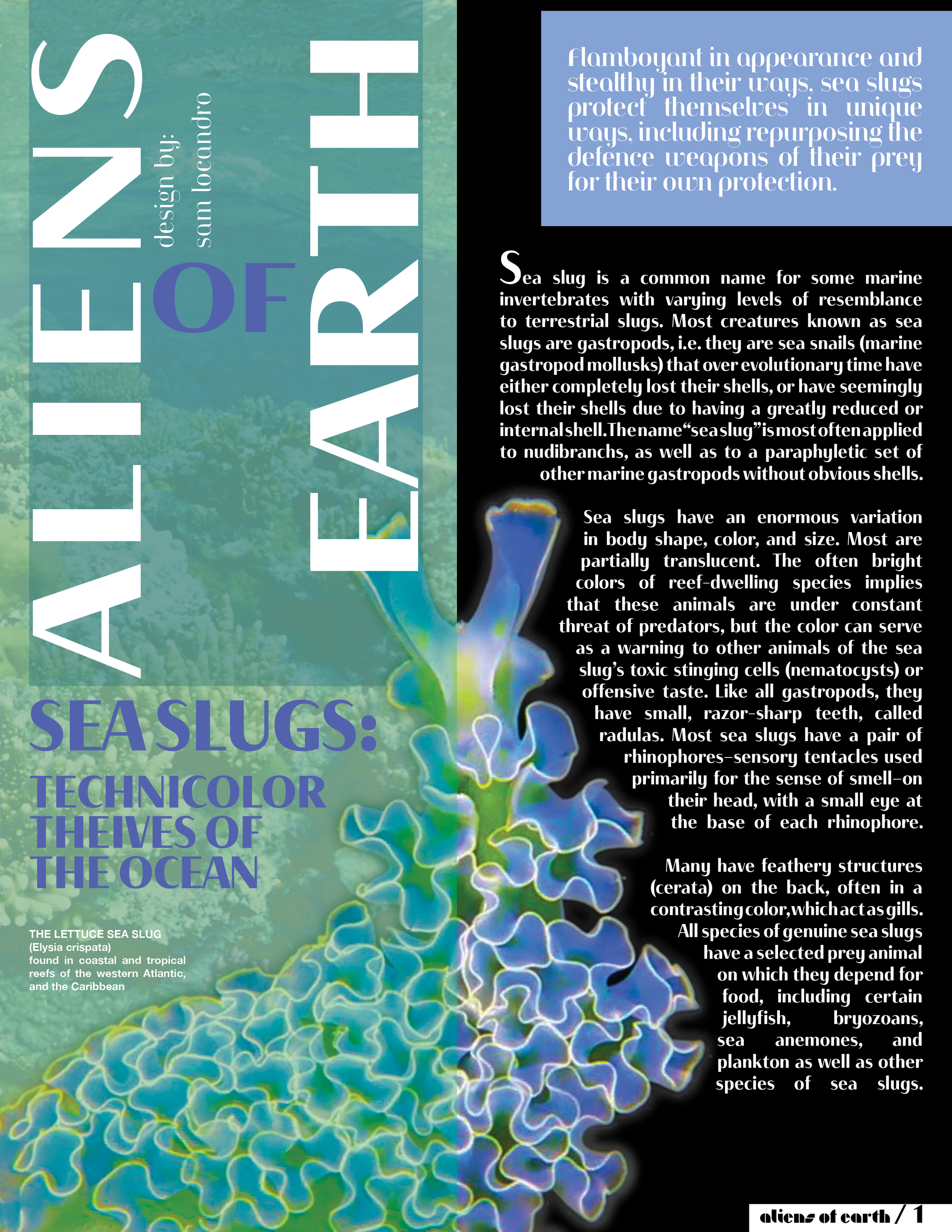 Aliens of Earth