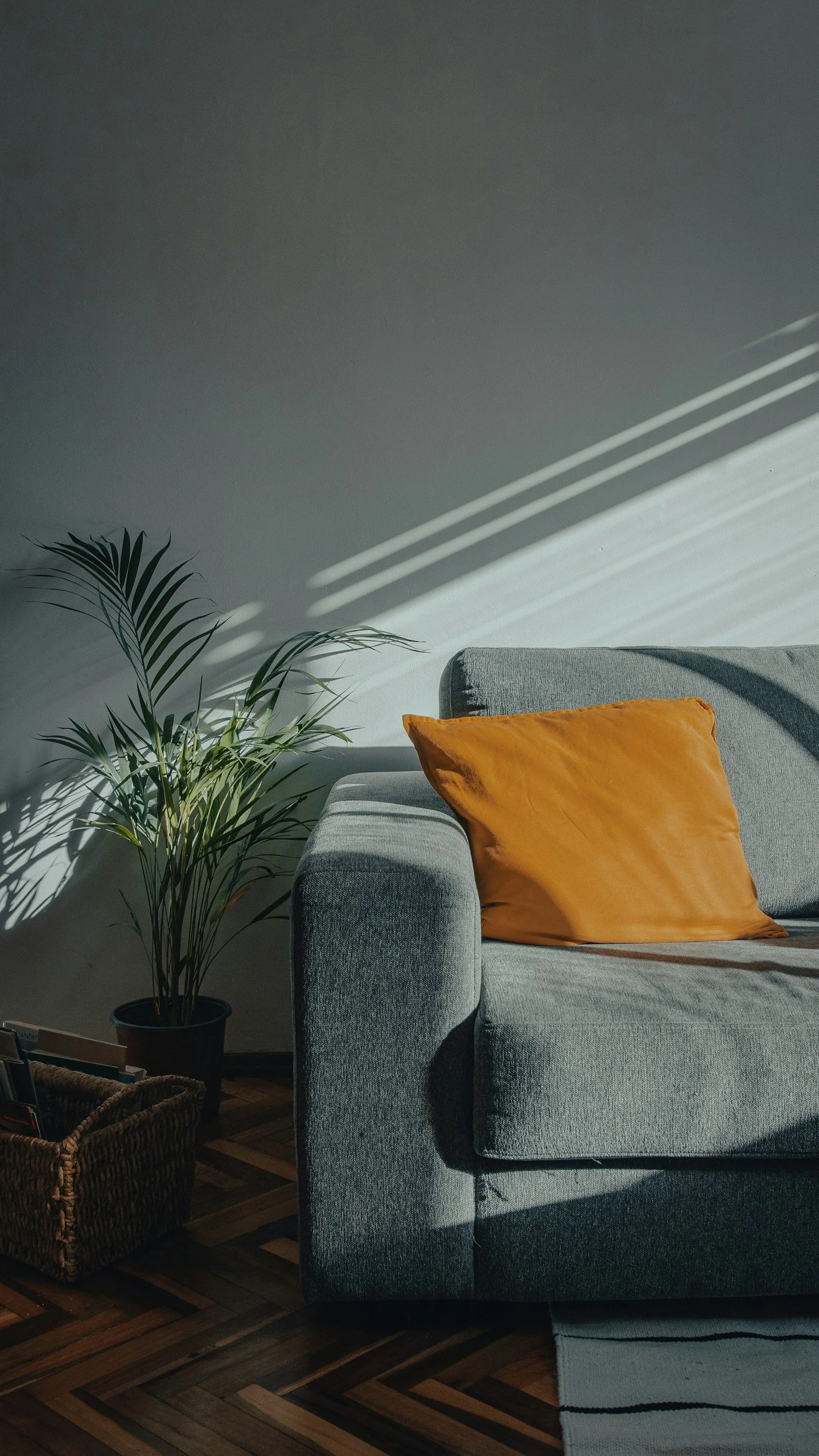 Sunlight casts shadows on a light gray sofa with an orange pillow, next to a potted plant and a woven basket on a wooden floor.