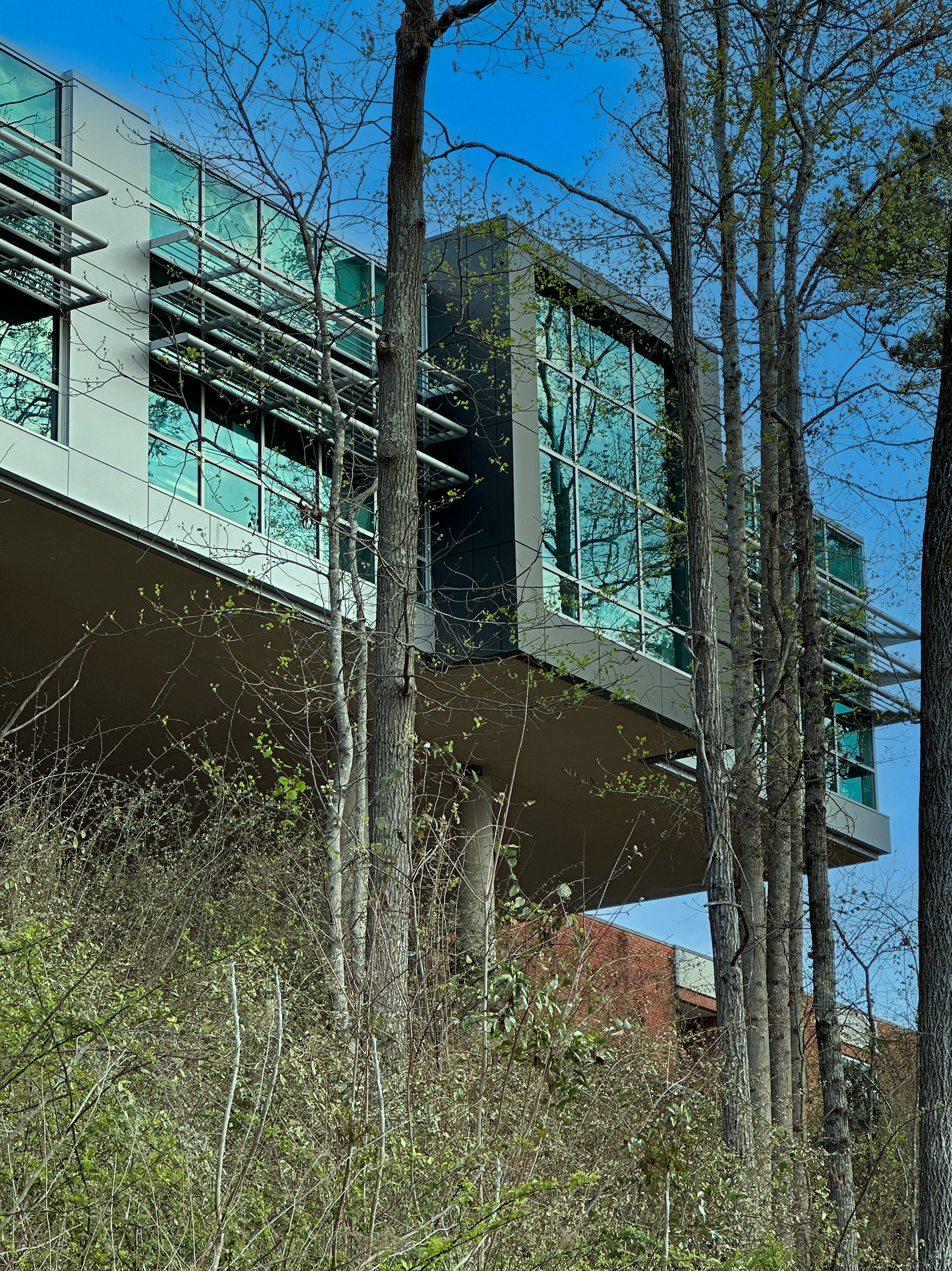 Mountain Brook High School with large curtainwall glass windows box cantilevered over a road below - project by B Group Architecture, Inc.
