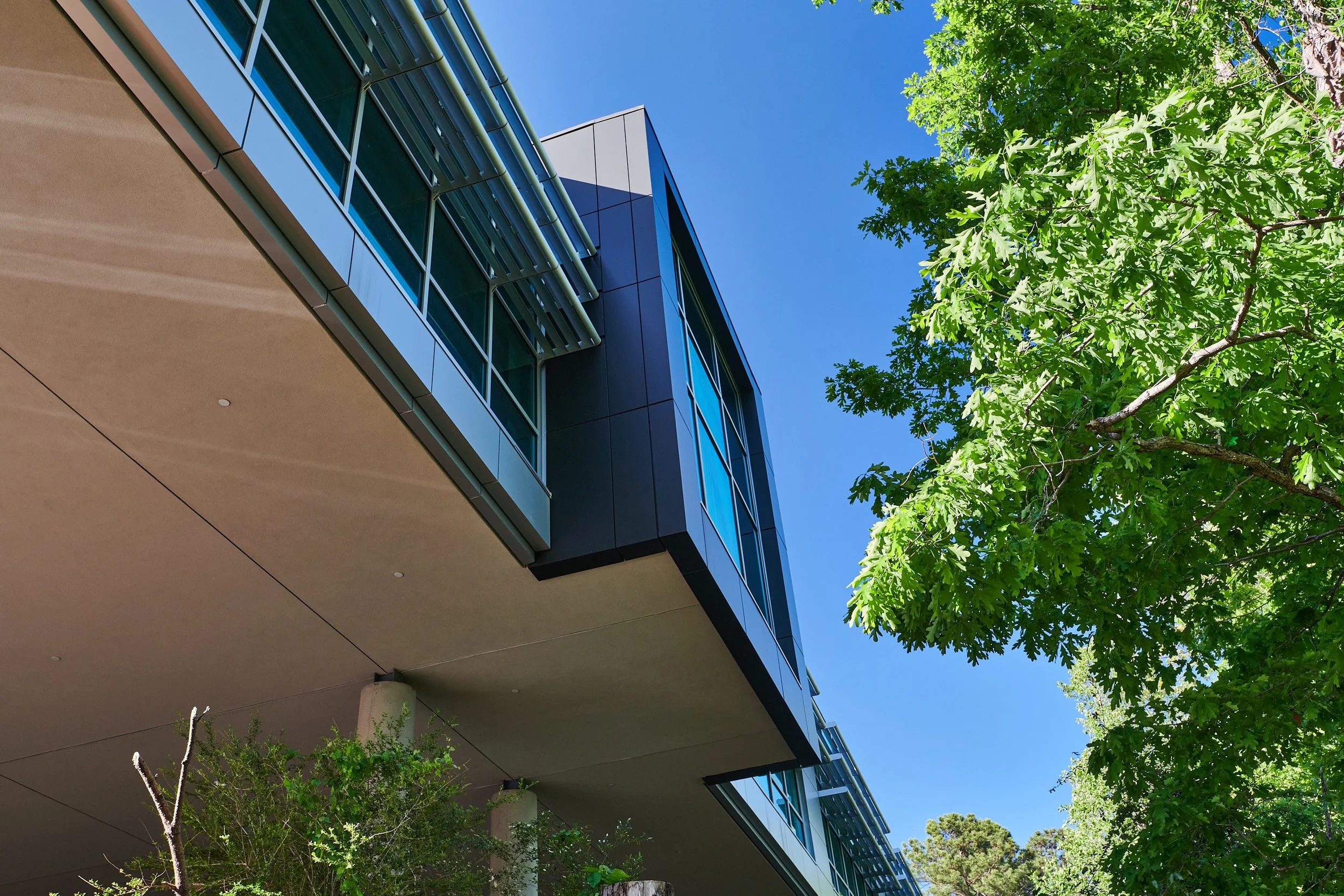 A view from below a high school where the second floor cantilevers over an existing drive to maximize the space- project by B Group Architecture, Inc.