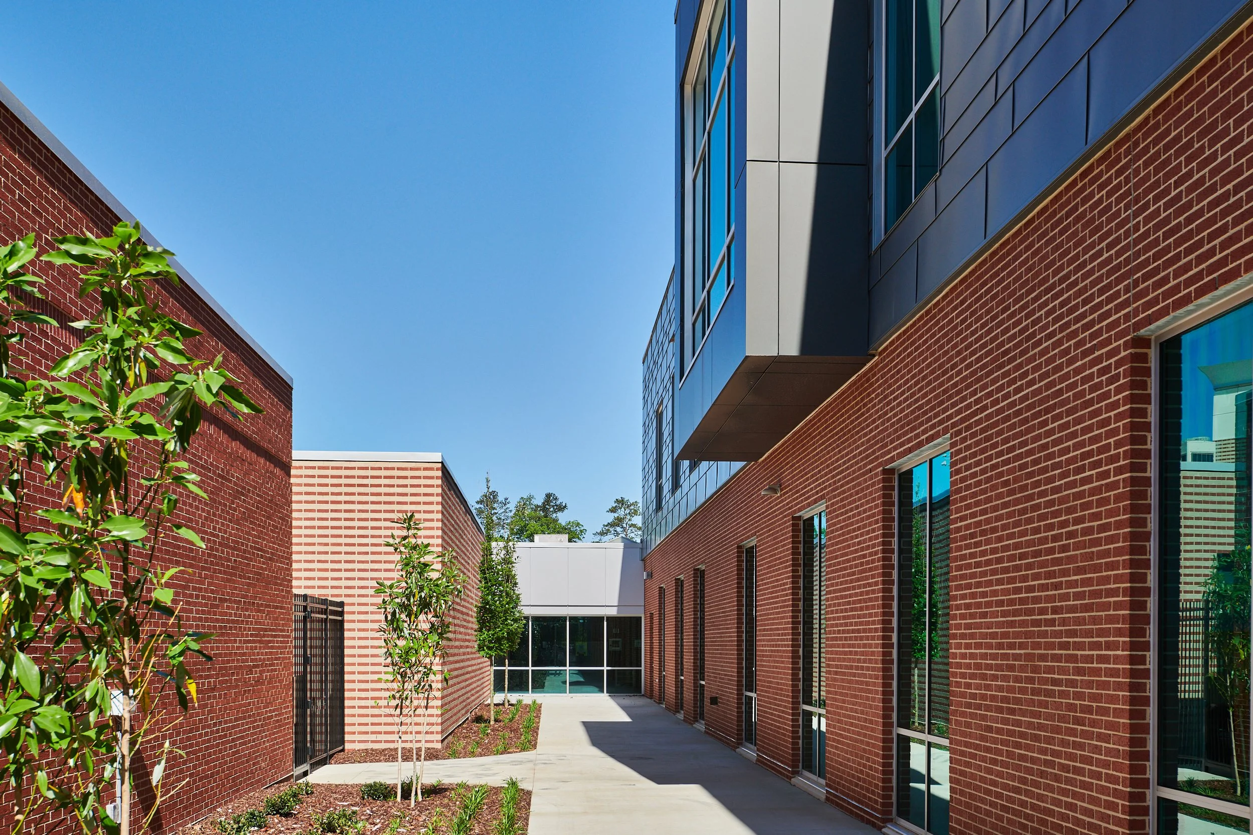 Modern building with two tone brick and glass exterior, trees lining the sidewalk - project by B Group Architecture, Inc.