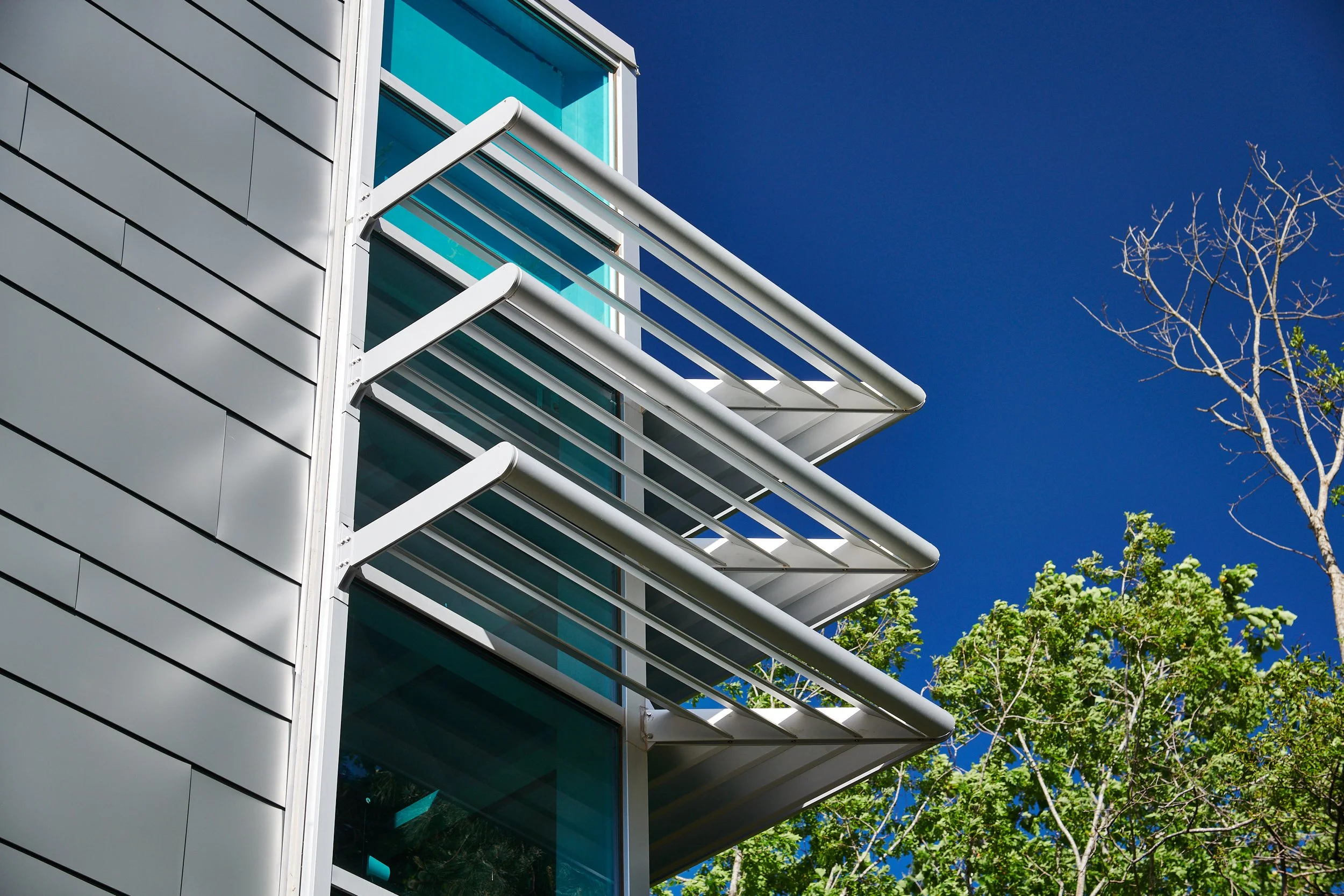 Modern building with white external window shades and glass windows, trees with green leaves, and a deep blue sky in the background.