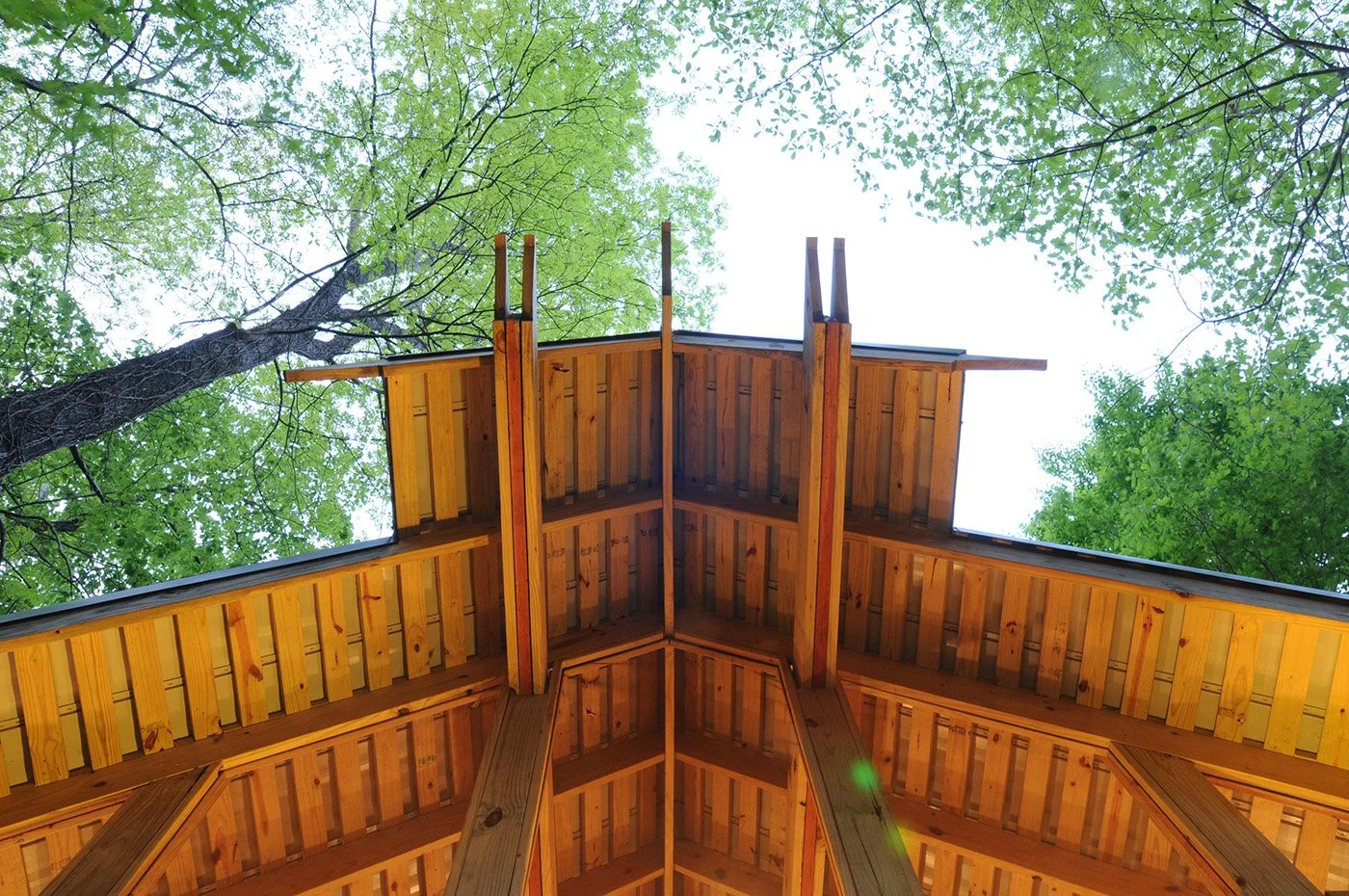 Looking up at a wooden treehouse Creekside Pavilion framework. project by B Group Architecture, Inc.