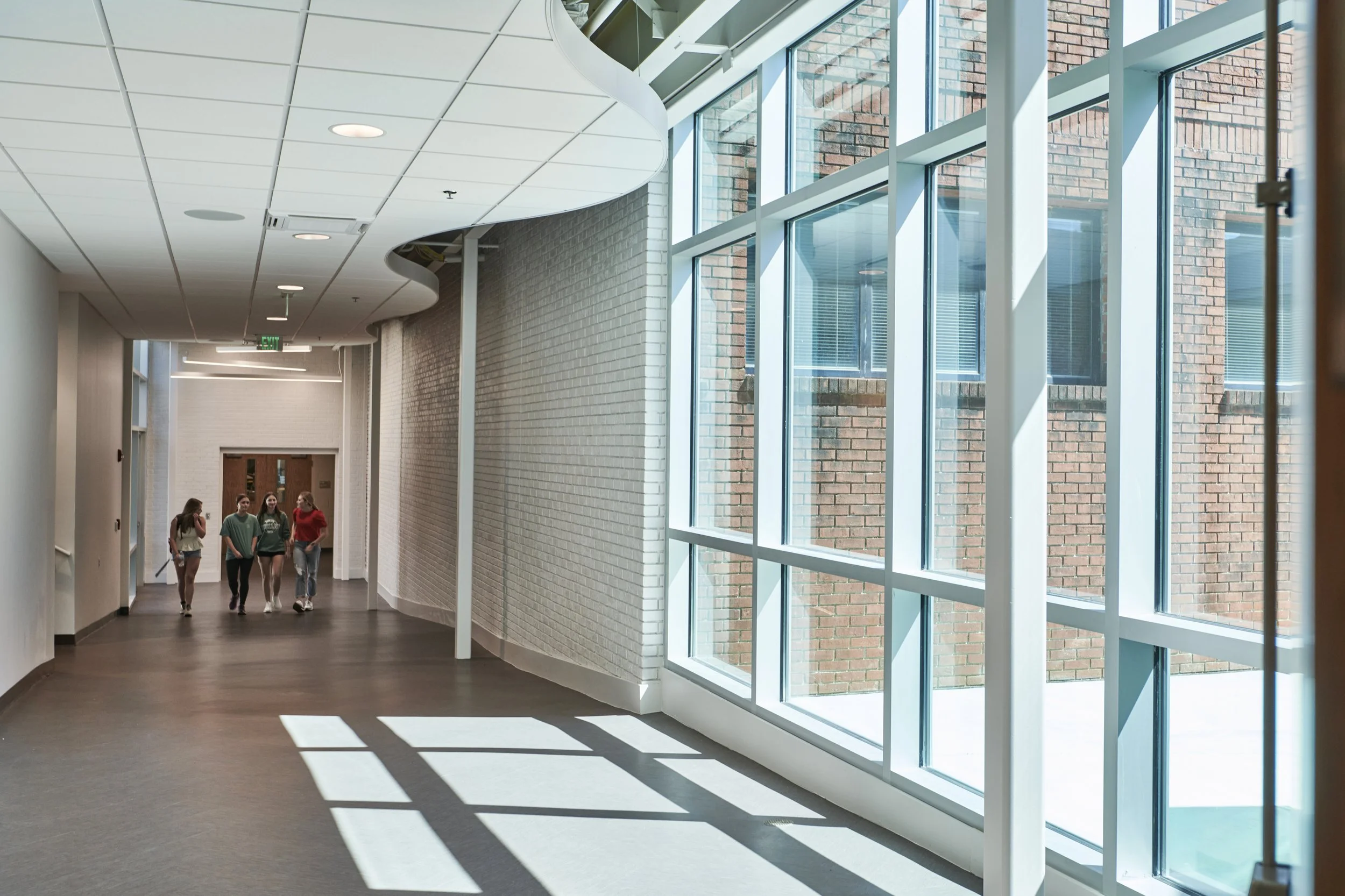 A school hallway with floor to ceiling storefront windows and a serpentine edge ceiling tile - project by B Group Architecture, Inc.