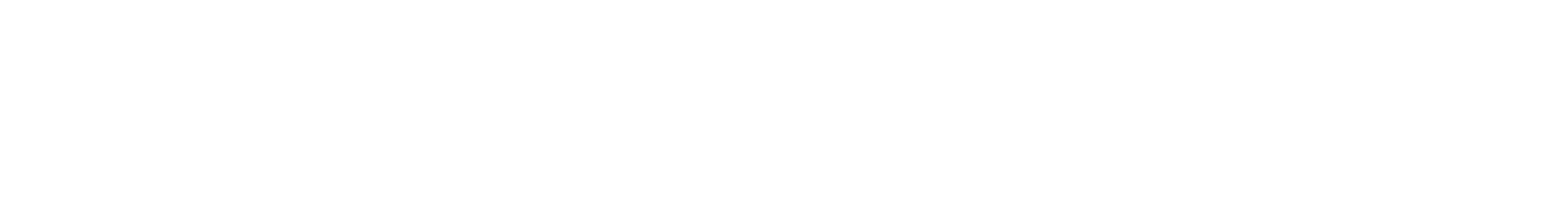 The image displays the title "The Shared Path" with the subtitle "Curated Content / Mentorship / Transformative" underneath.