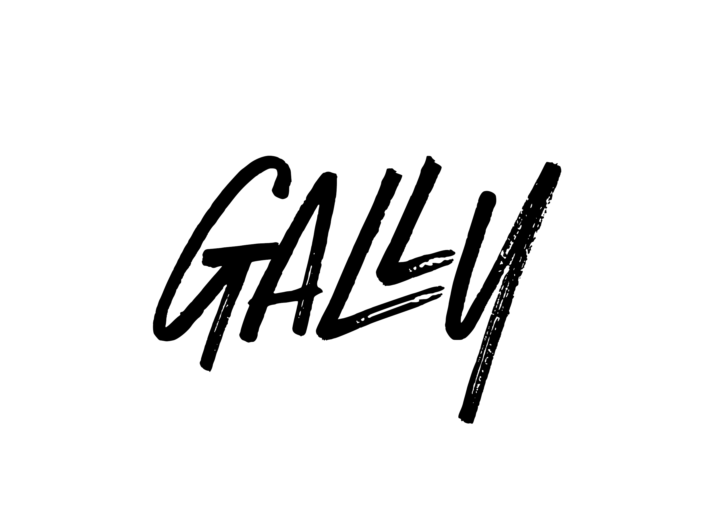 NEW TYPO GALLY _Plan de travail 1.PNG