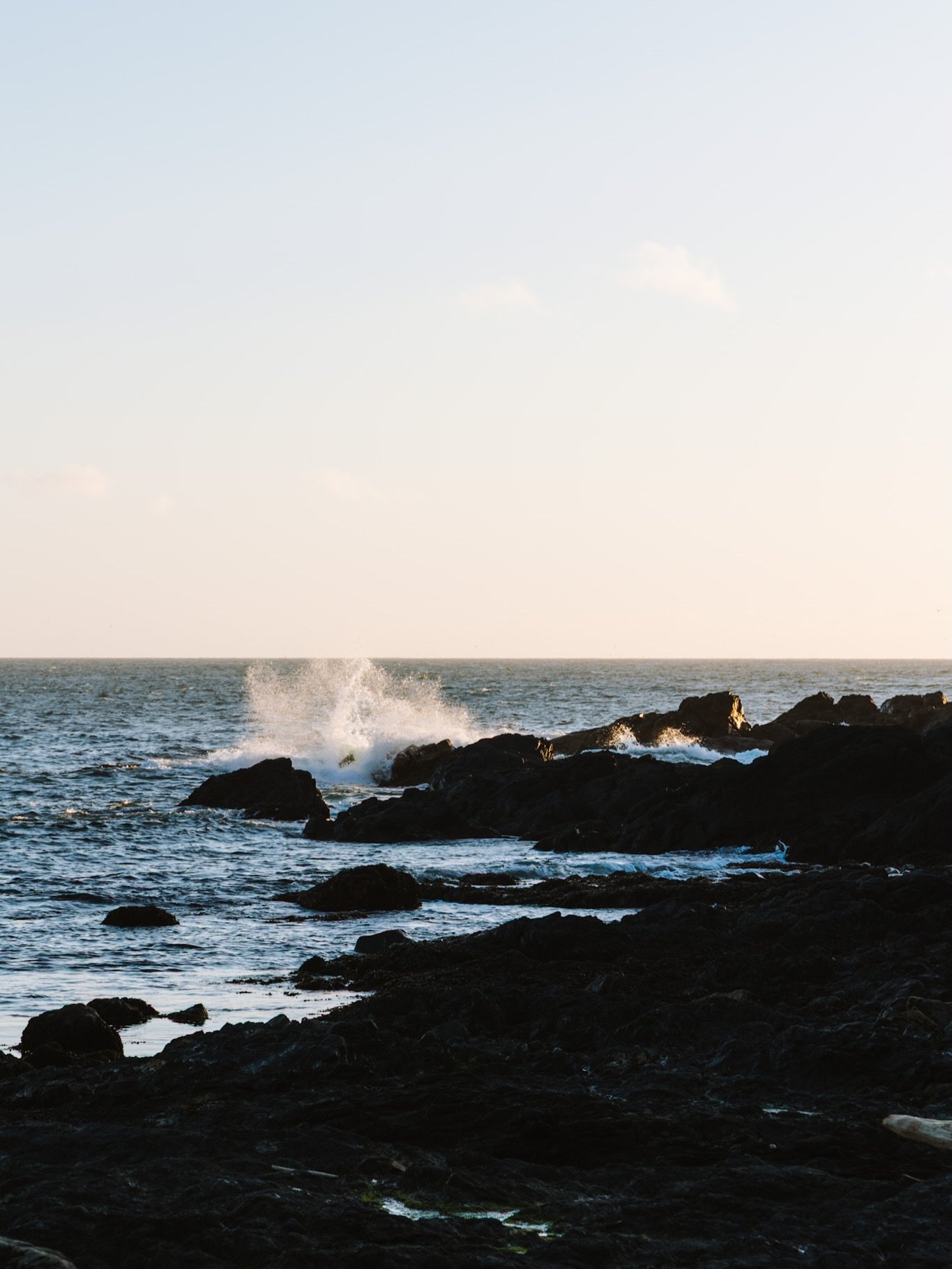 Ucluelet dump

Pretty lucky to call this work. The best views. The best team. The best week 🤍