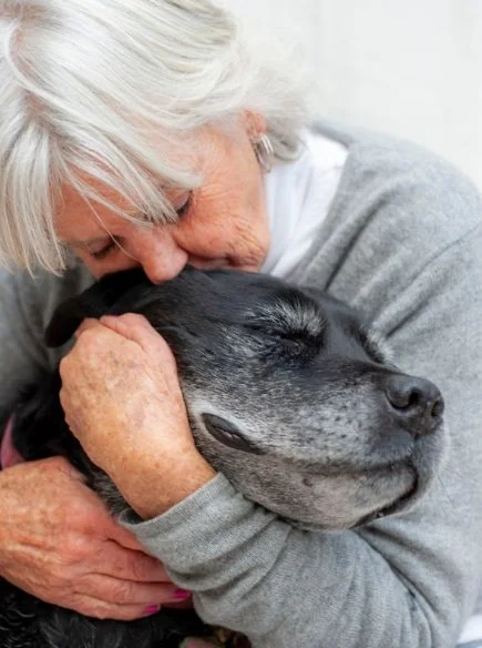 Full Journey Package