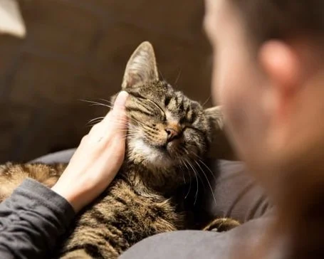 Guided Crossroads Package