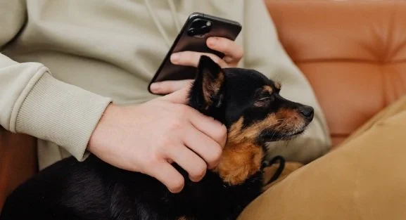 Single Support Session