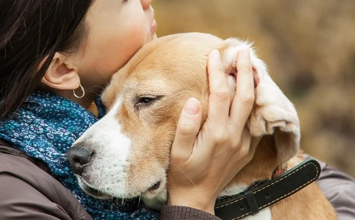 Educational & Healing Offerings