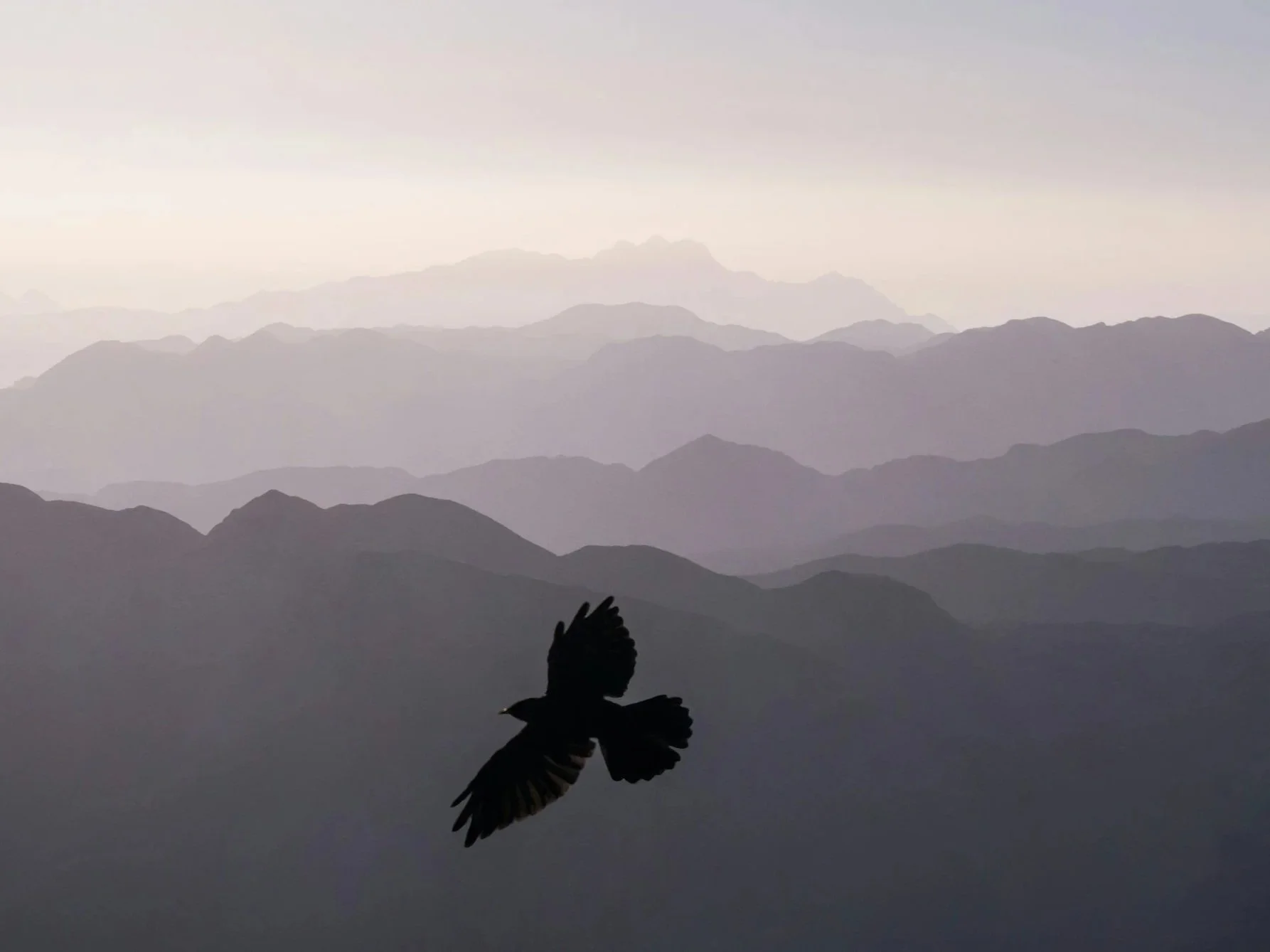 A bird flying over a mountainous landscape with multiple layers of mountain ridges fading into the distance during hazy or overcast conditions.