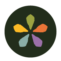 Colorful petal-like shapes arranged in a circle on a dark background.