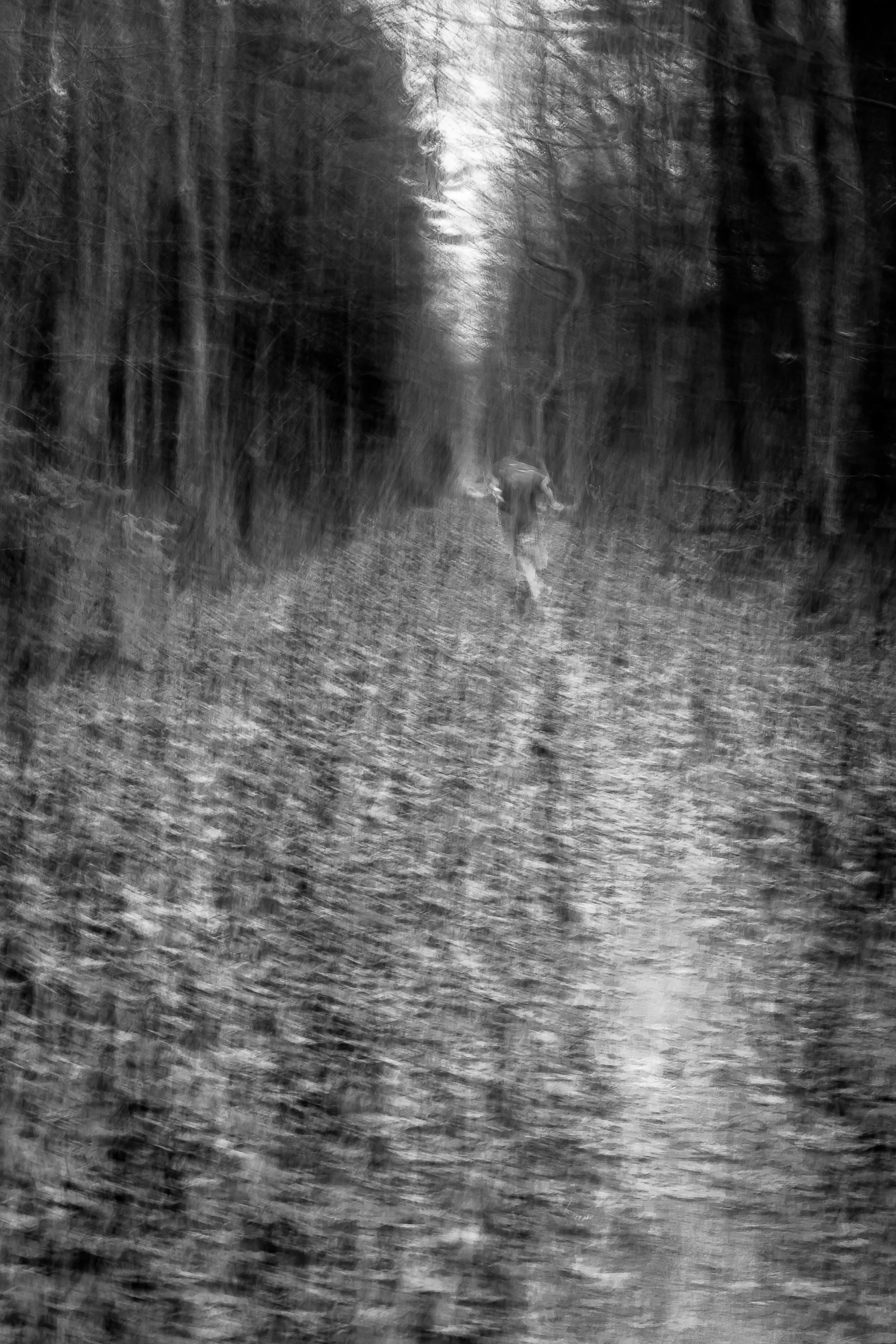 2016 - Disappear from View, Personal Narrative Show, PhotoPlace Gallery, Middlebury, VT

