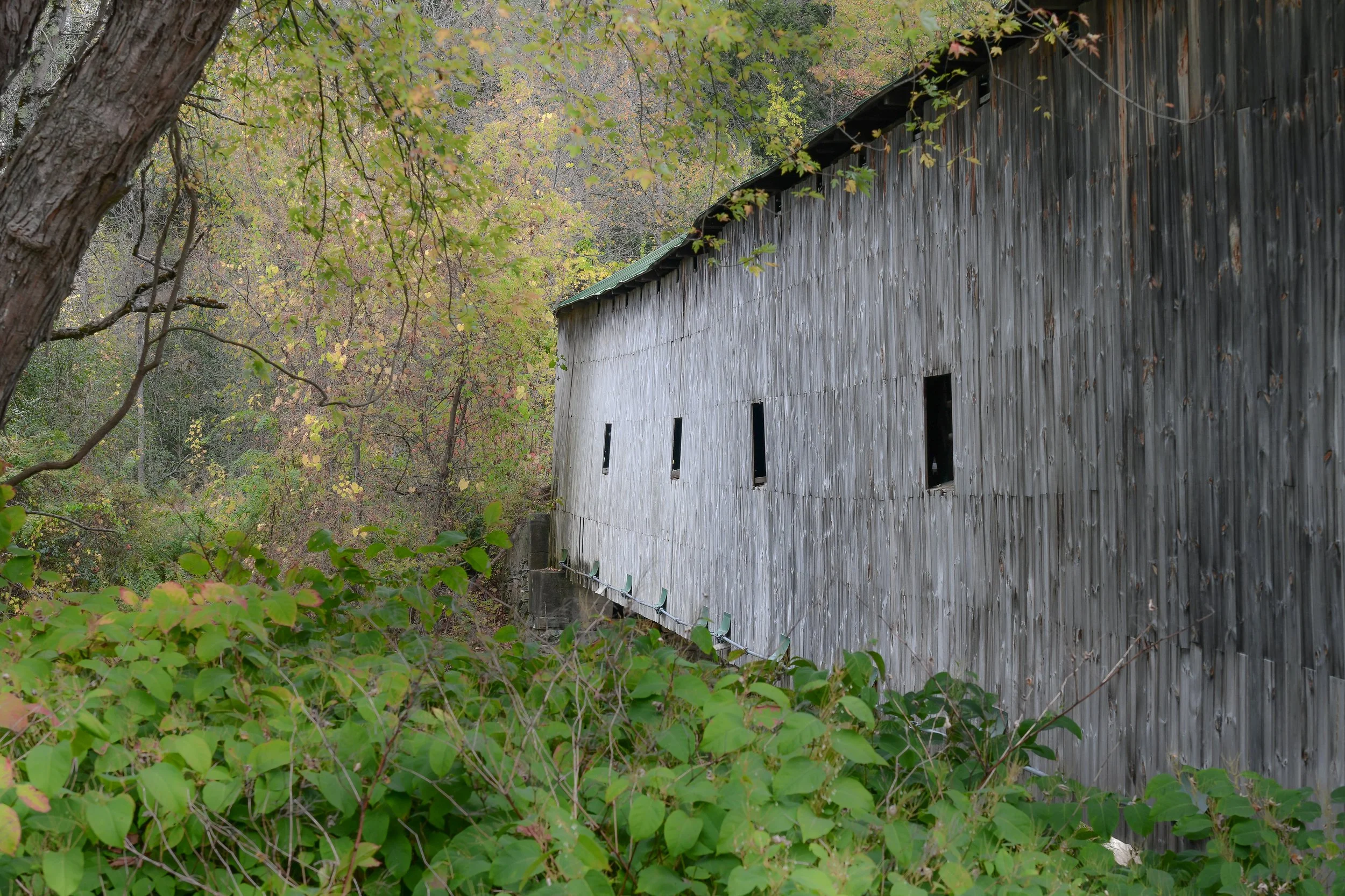 Hammond Covered Bridge, Pittsford, VT