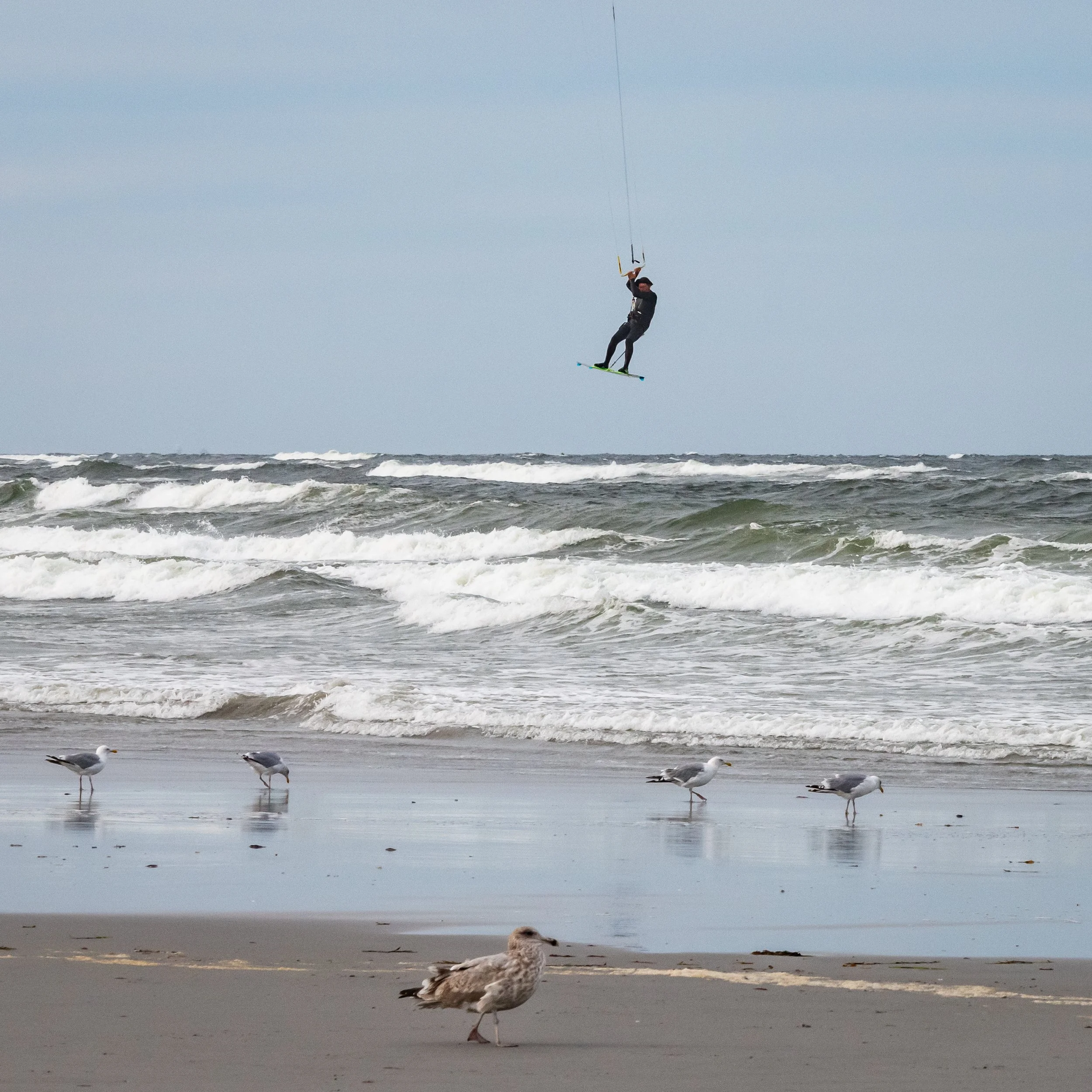 Learning to Fly, Gloucester, Massachusetts