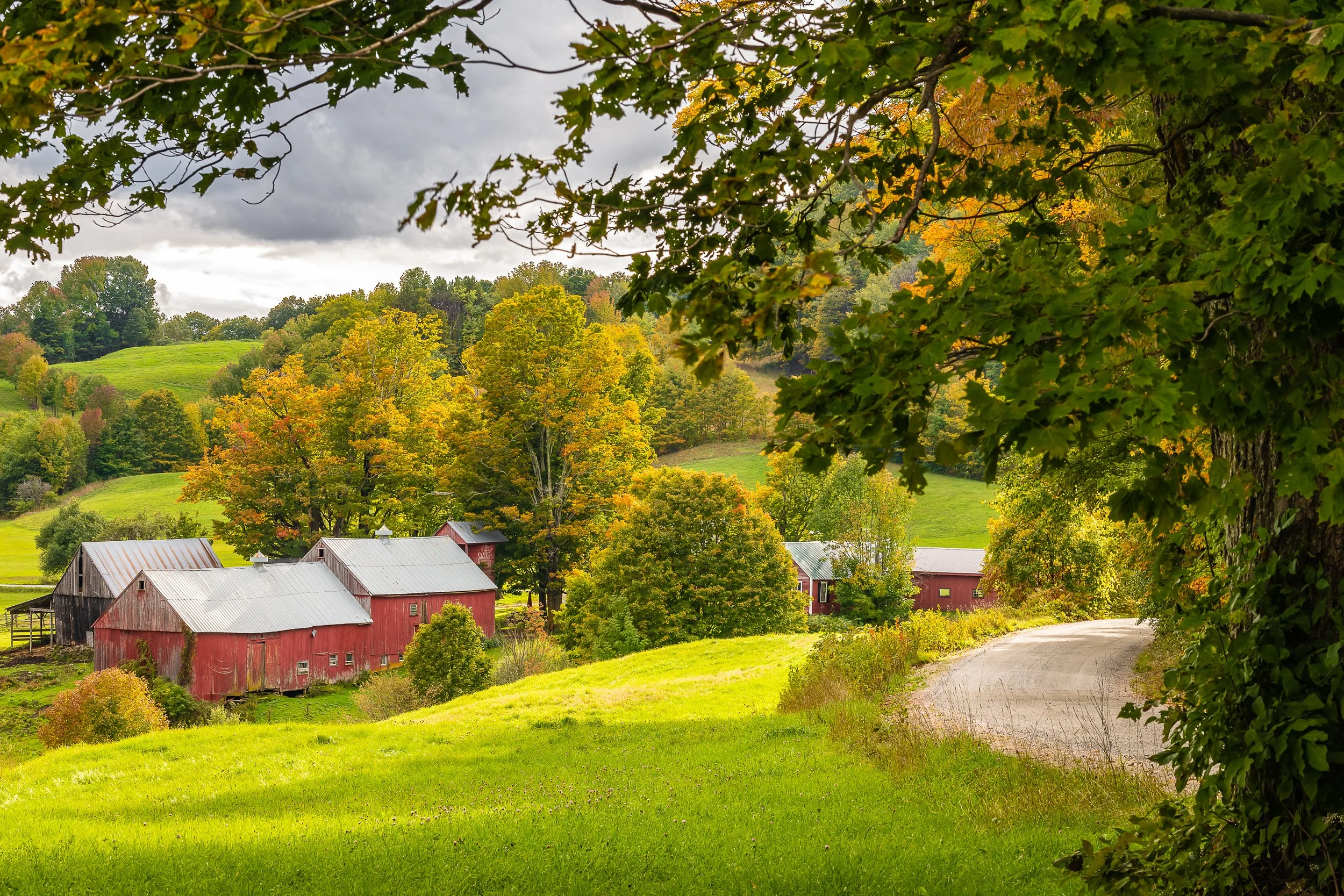 Jenne Farm, Reading, VT