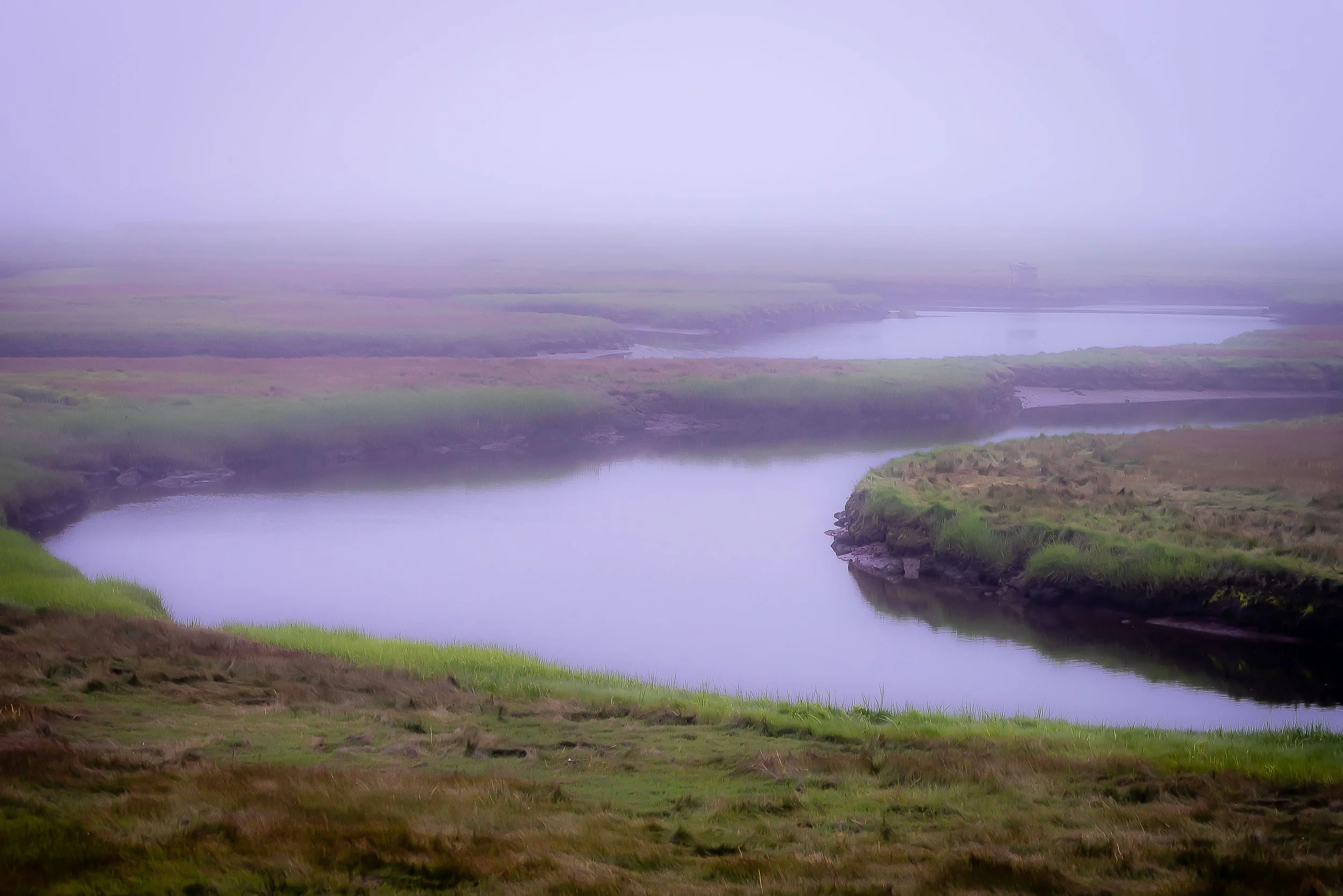 Fog on the Marsh
