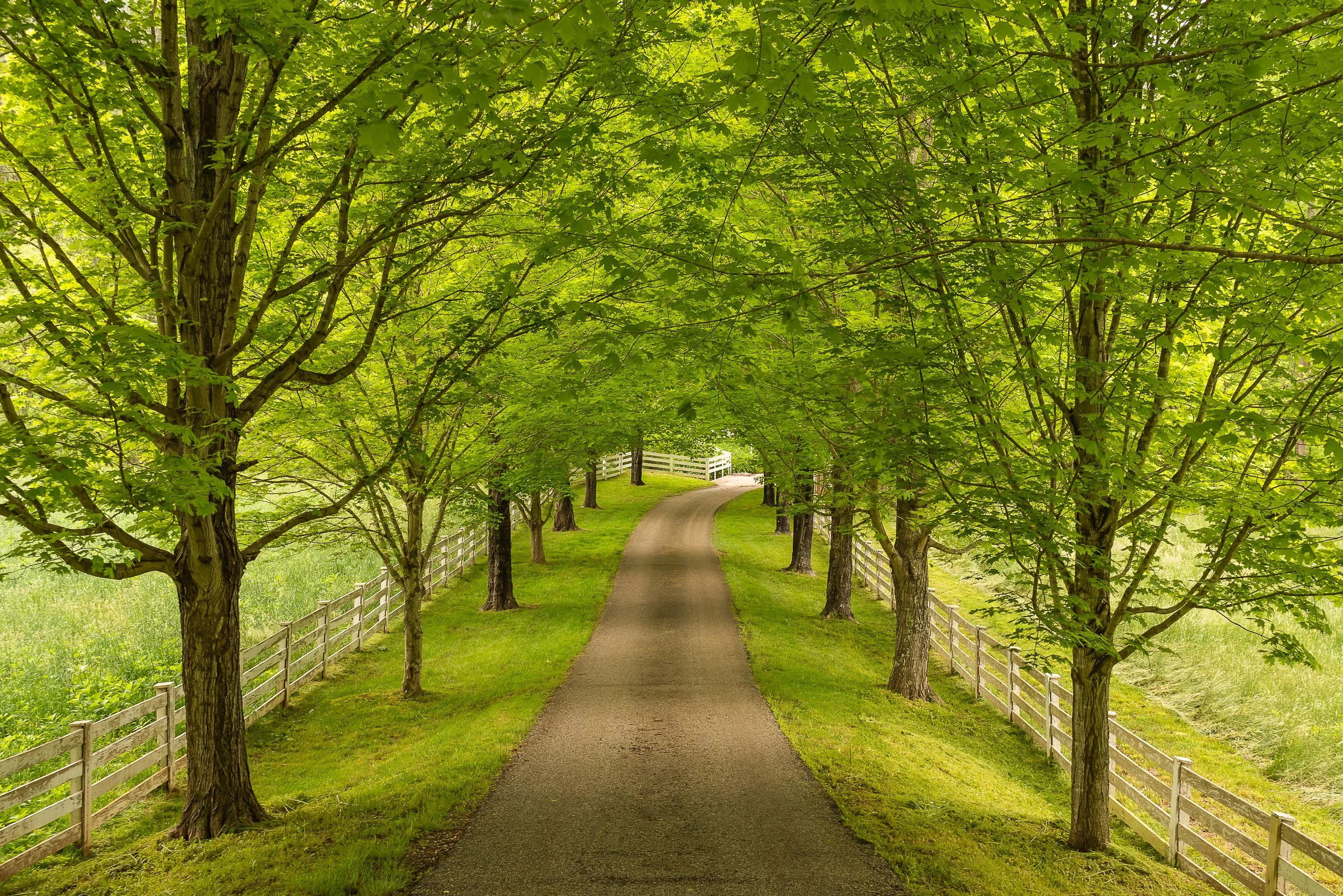 Welcome Home, Charlottesville, VA