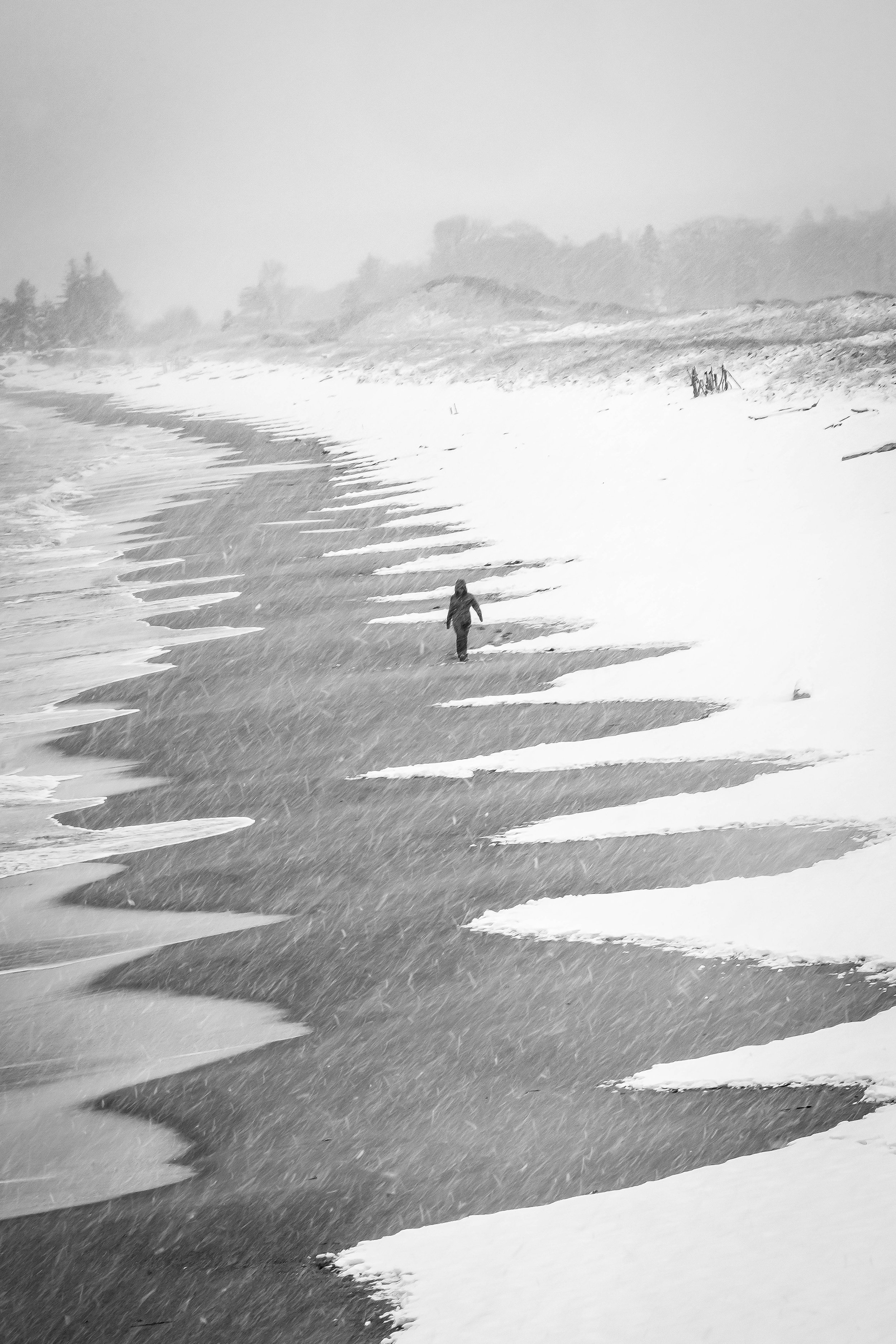 Winter Beach Walk