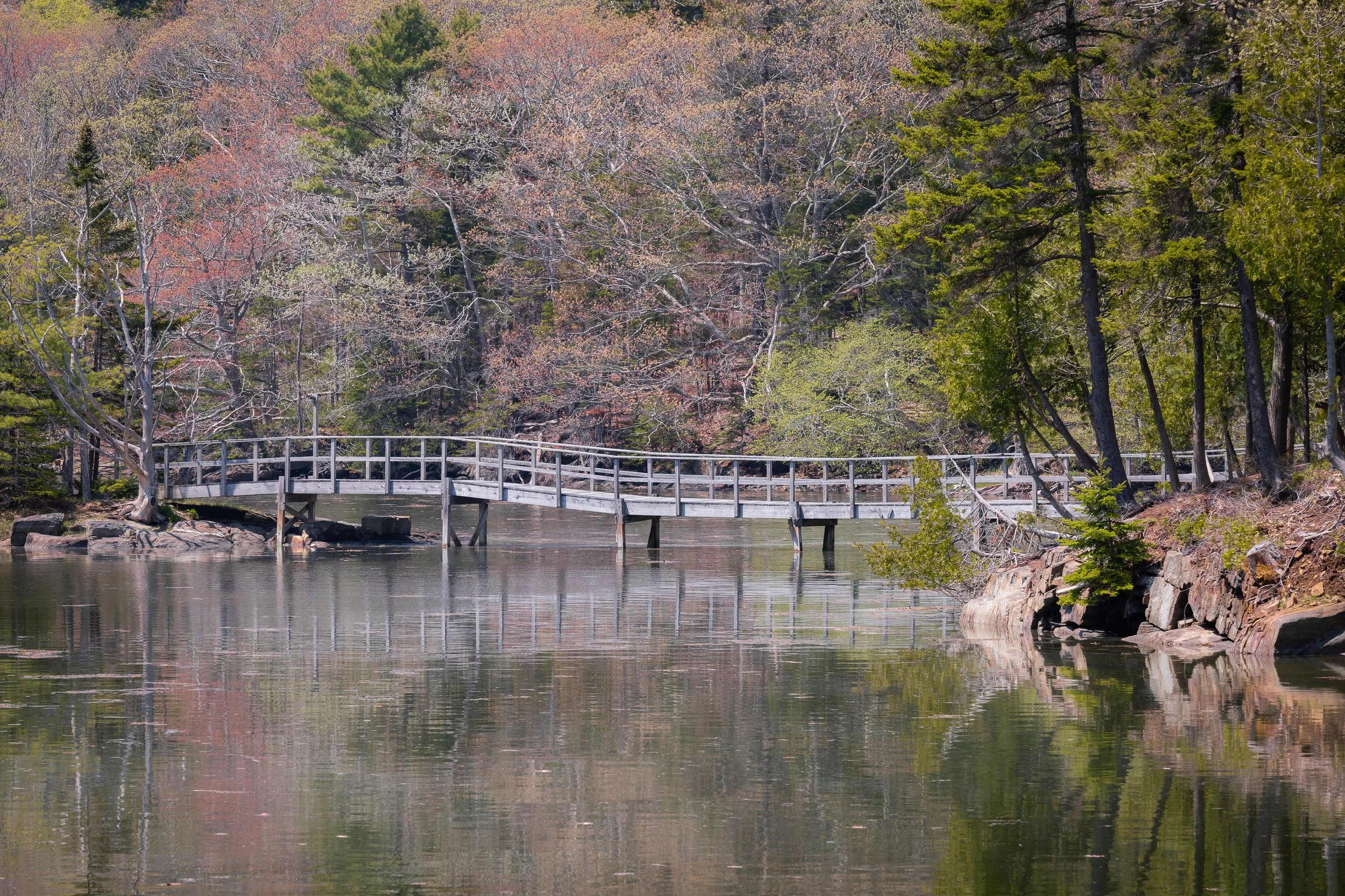 Walking Bridge