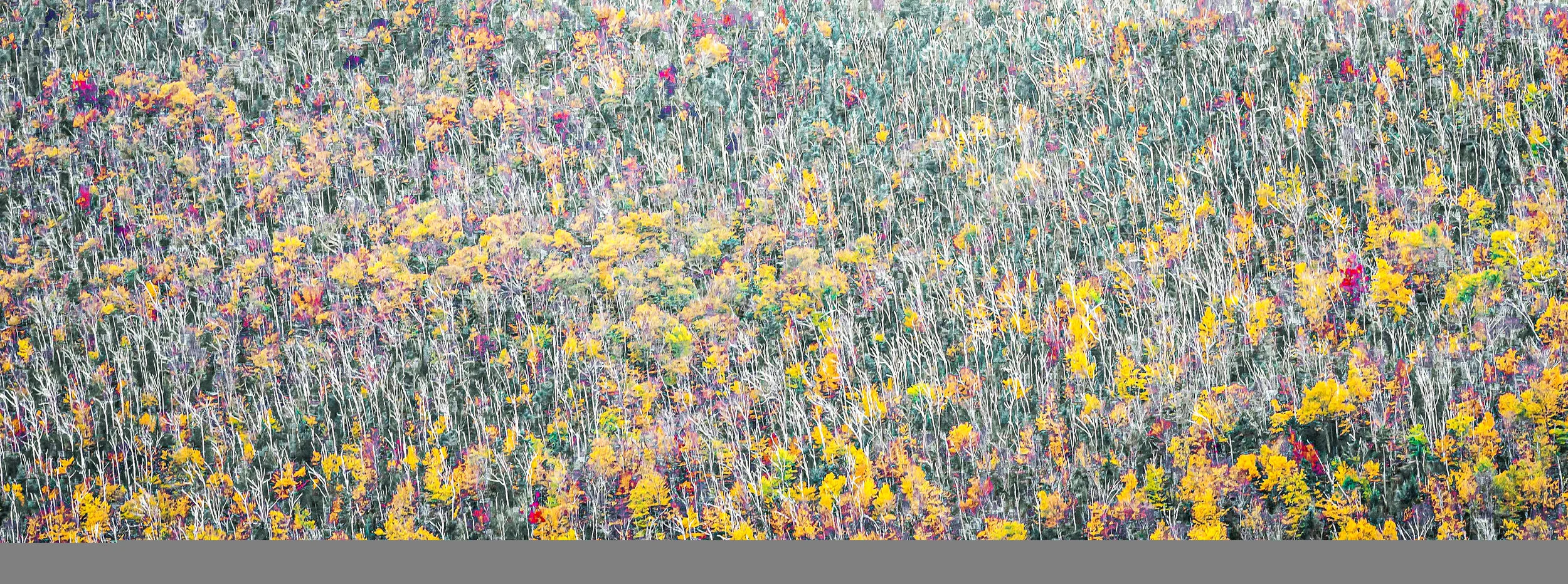 Impression of Mt. Kancamagus