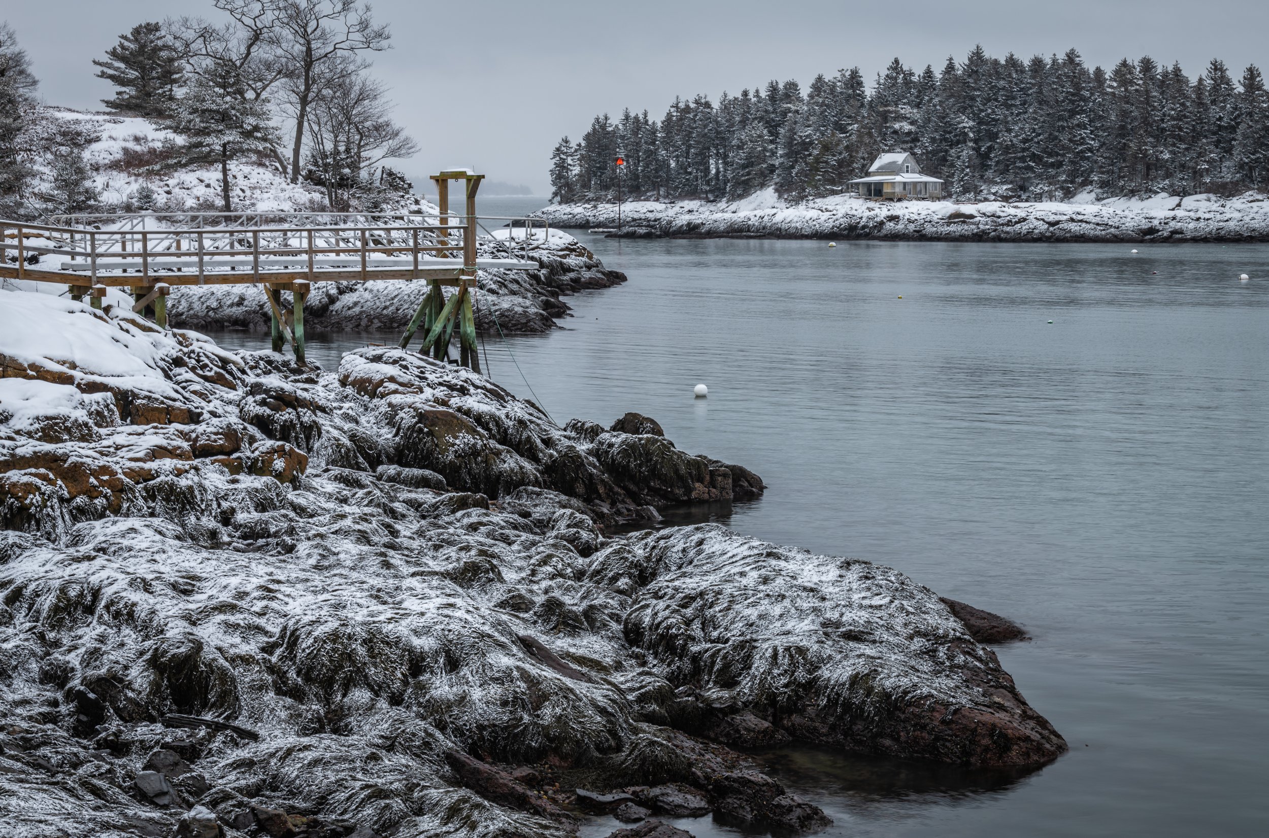 Blue Hour After a Snowstorm