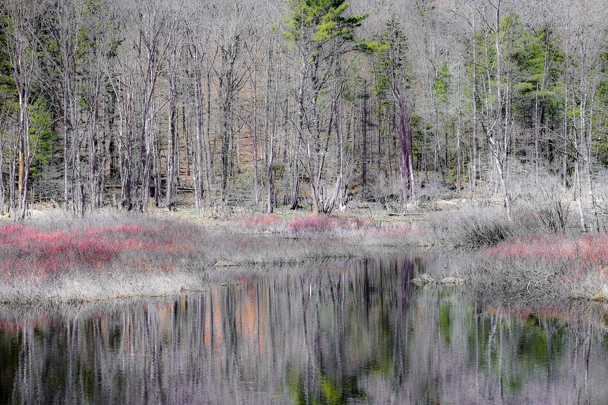 Early Spring