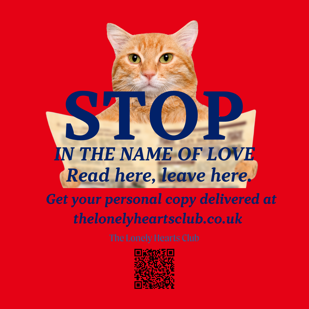 Ginger Cat "Catinka" Mascot of The Lonely Hearts Club reading a newspaper with the text "Stop in the name of love. Read here, leave here" across the cat.