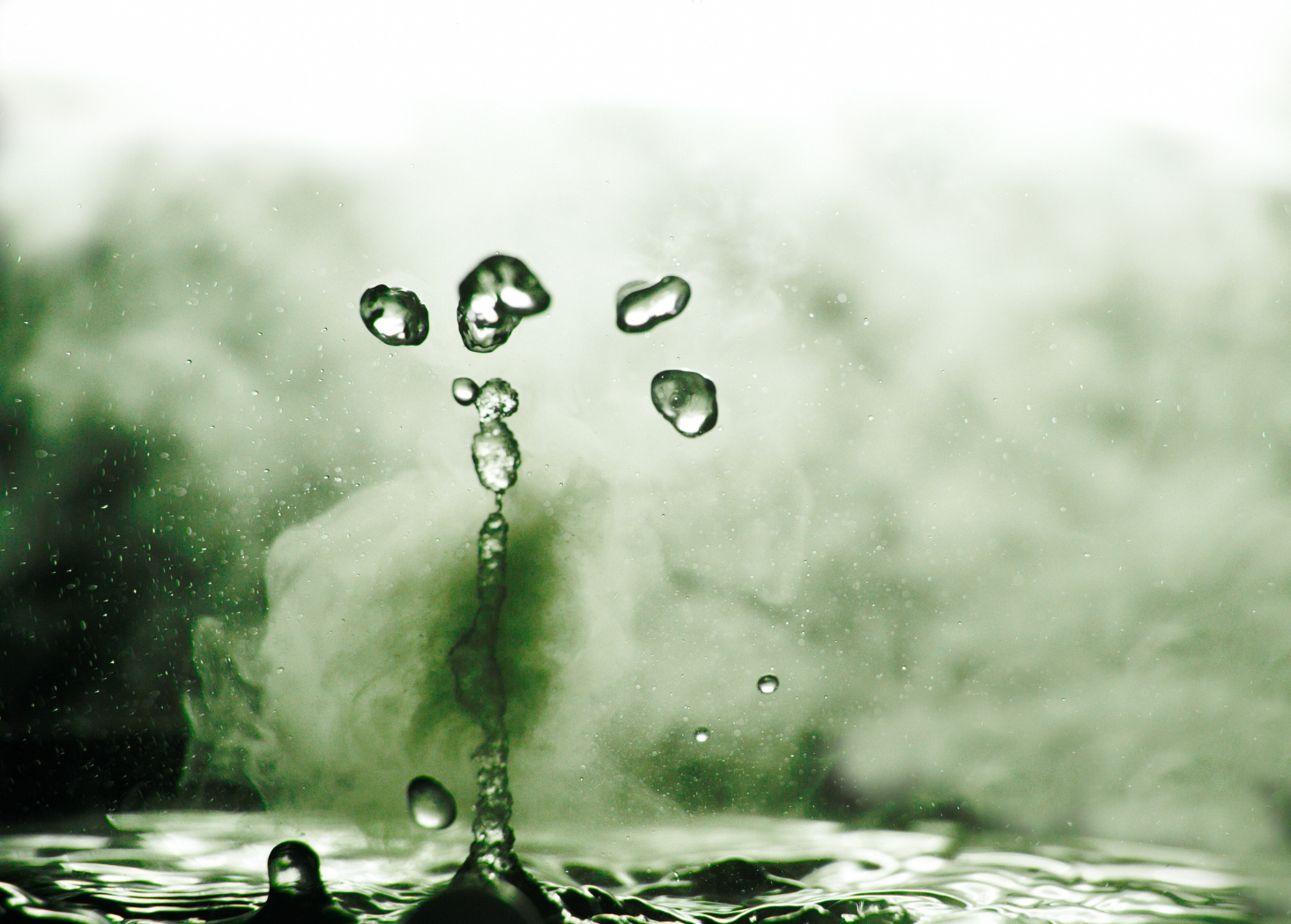 Matcha Quality in U.S. Cafes: Why Water Temperature Is the Number One Variable to Dial In