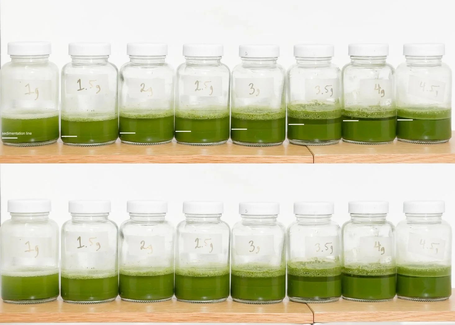 Best Batched Matcha Ratio for Cafes (Tested): How to Reduce Separation &amp; Improve Consistency