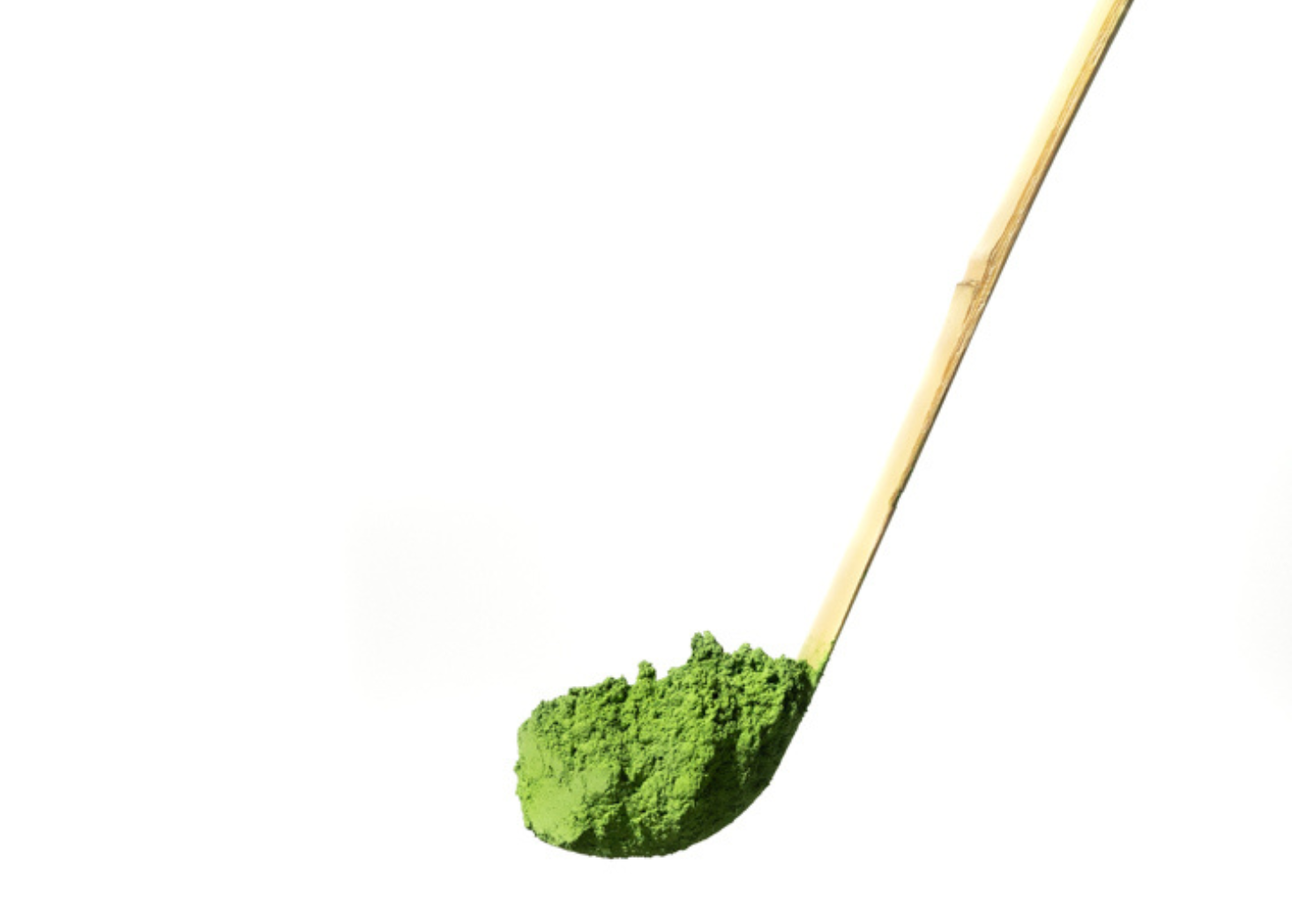 Chashaku (bamboo scoop) holding matcha powder