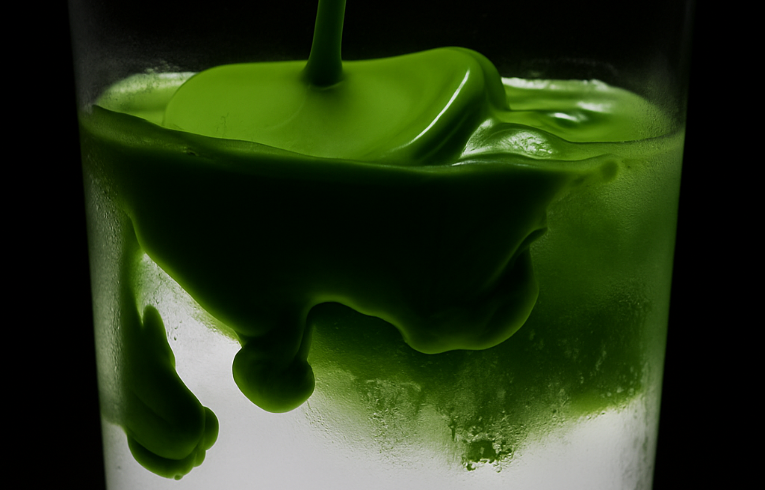 Matcha Program | Cafe, Barista and Popup Matcha Education
