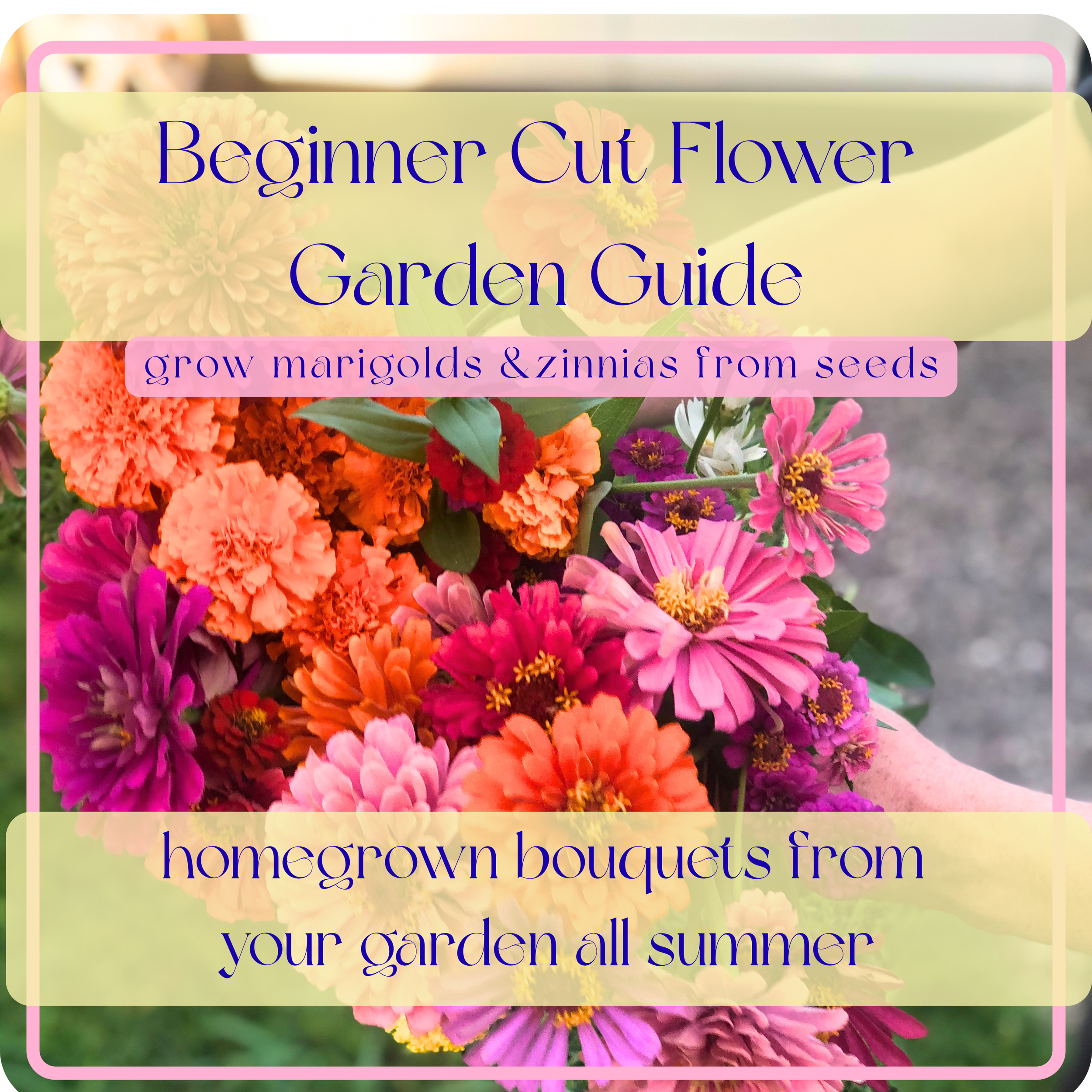 Cut Flower Garden Guide for Beginners | Grow Zinnias & Marigolds from Seed | Digital Download