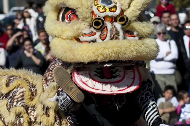 dragon20120129_05741.jpg
