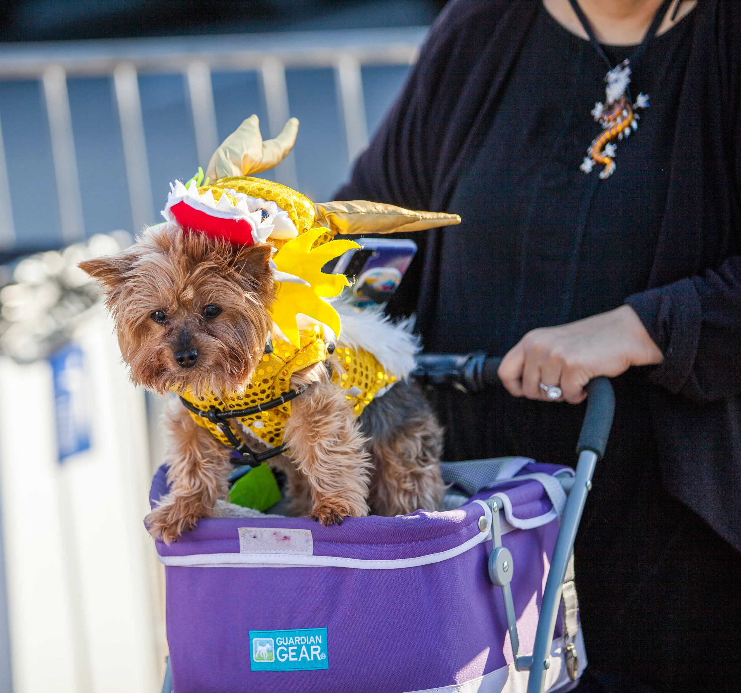 IMG_3756.jpg
