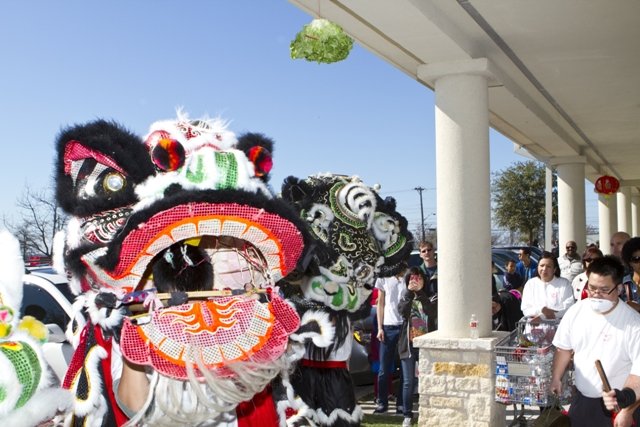 dragon20120129_02711.jpg