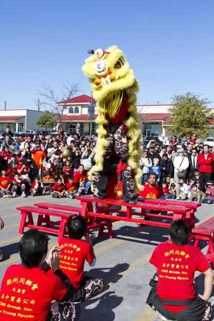 dragon20120129_03711.jpg