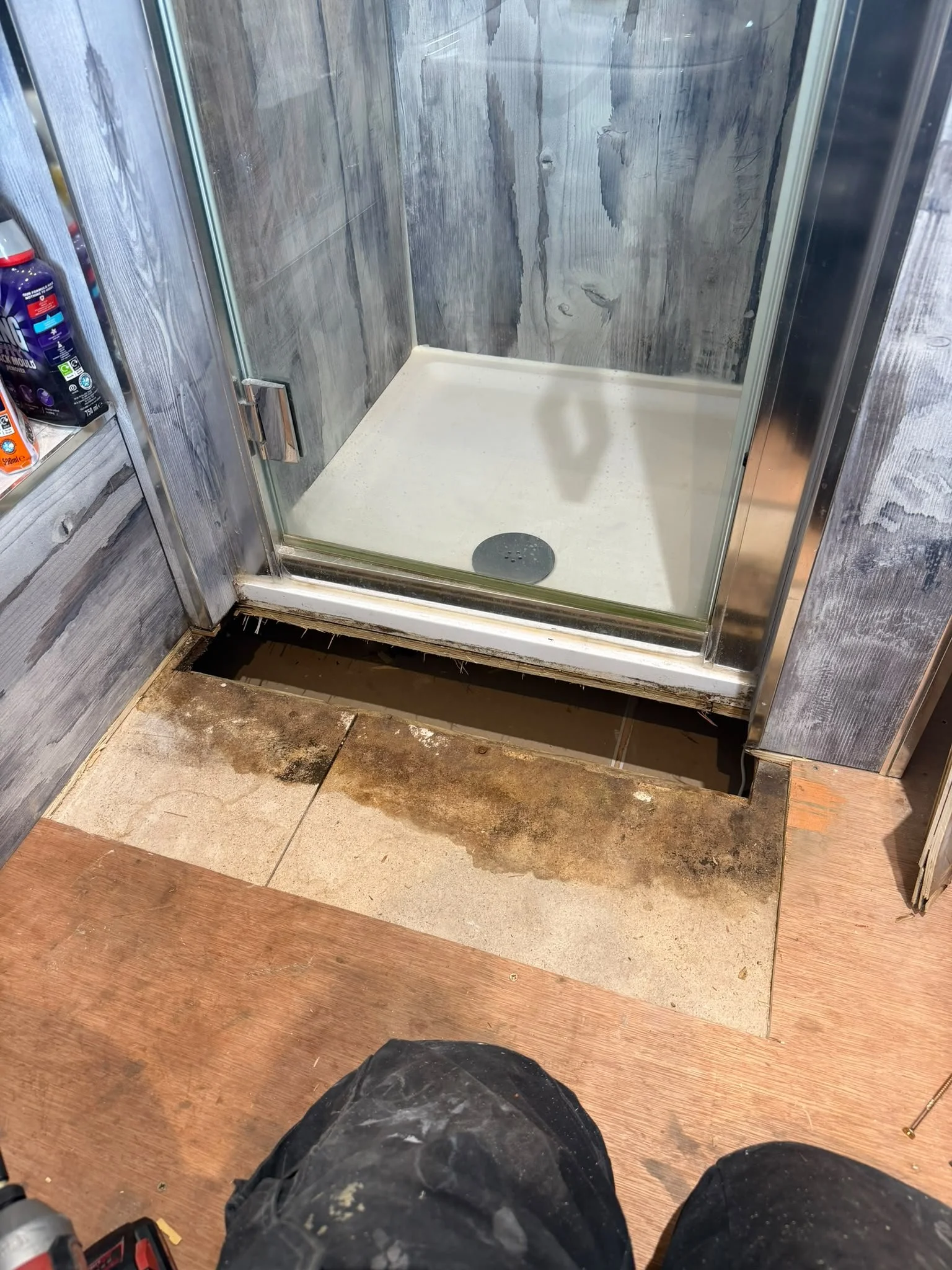 Damp damaged flooring