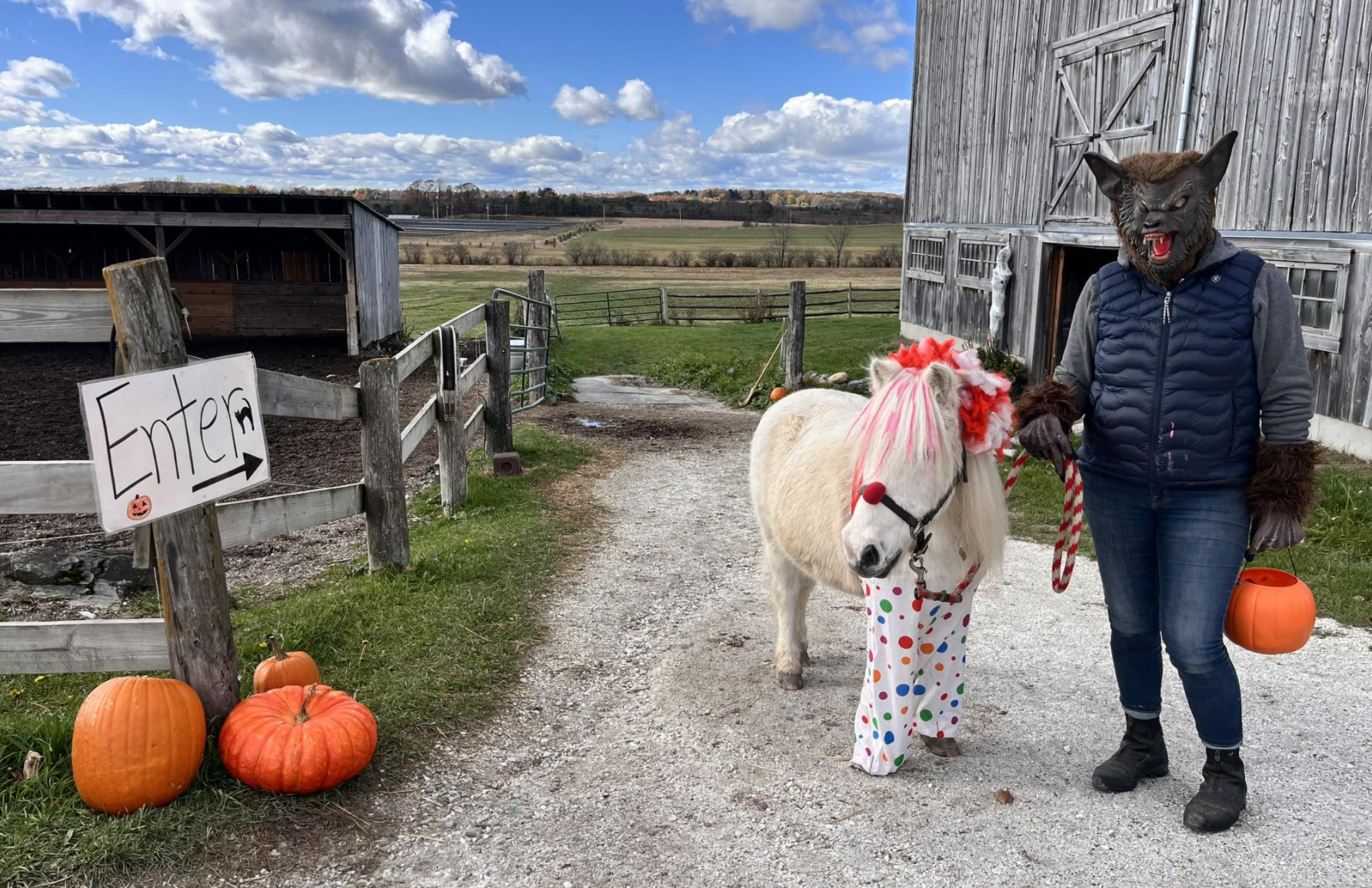 Halloween Barn 2025
