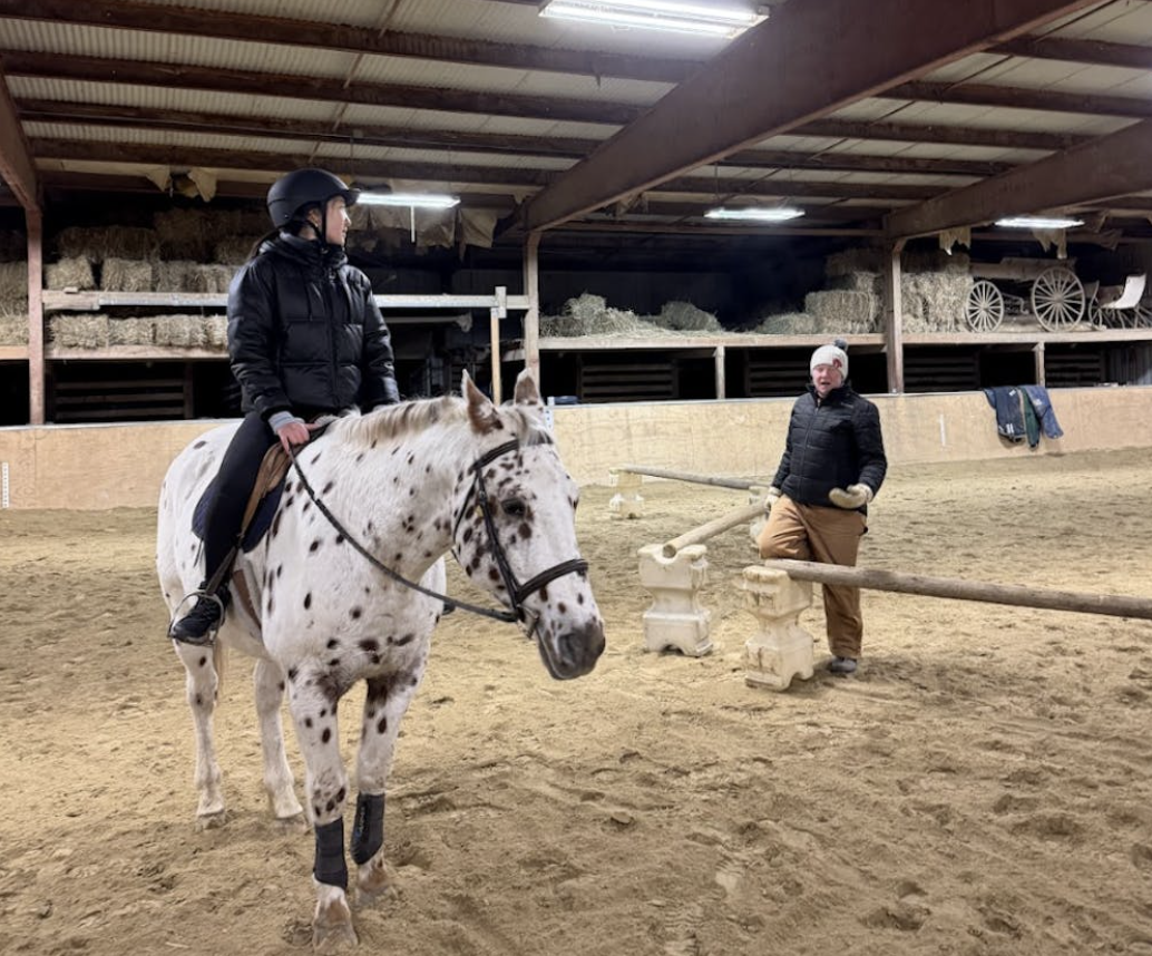Amateur versus Athlete: My first time on a horse
